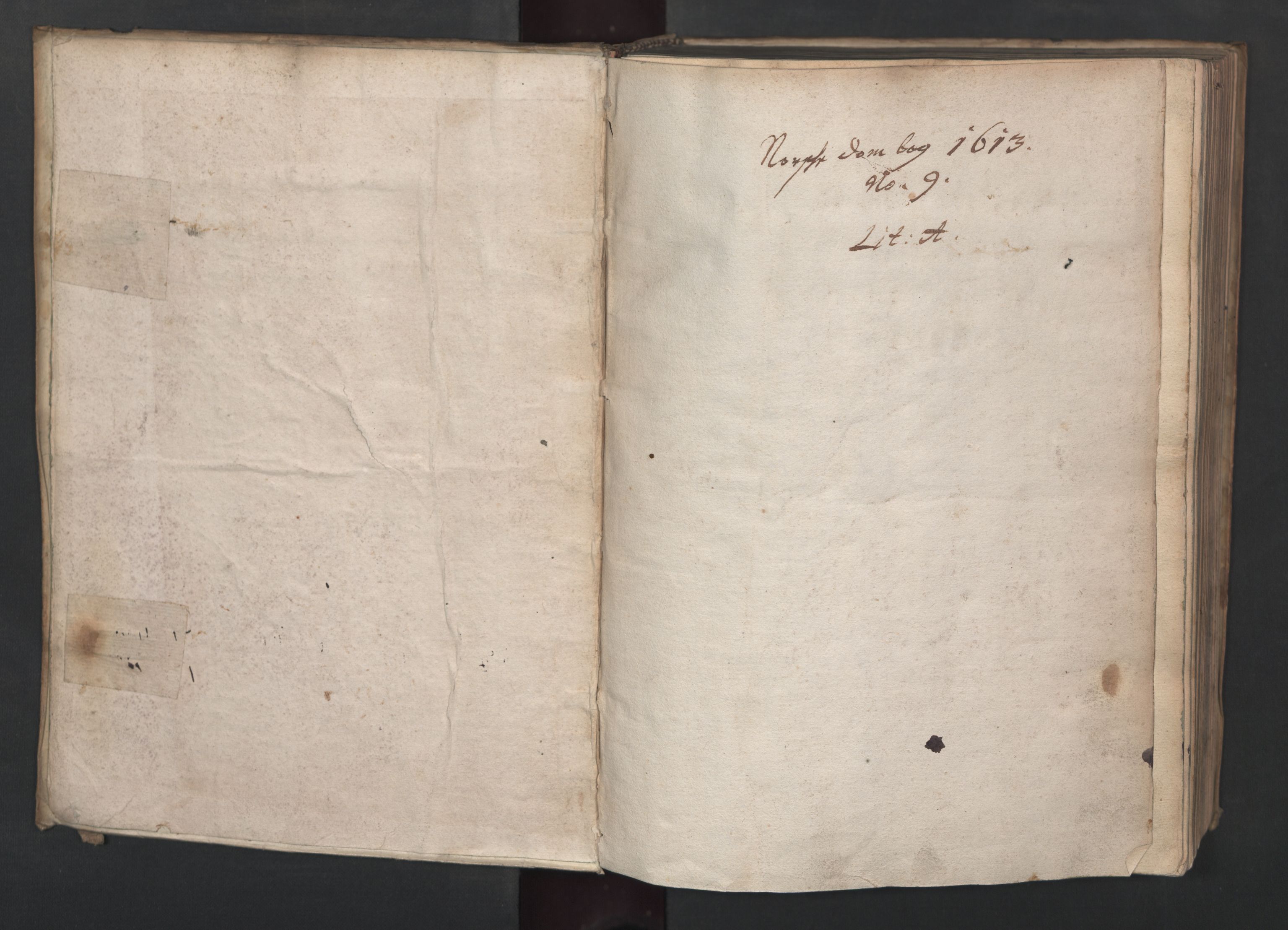 Herredagen 1539-1664  (Kongens Retterting), AV/RA-EA-2882/A/L0009: Dombok   Stevningsbok, 1613