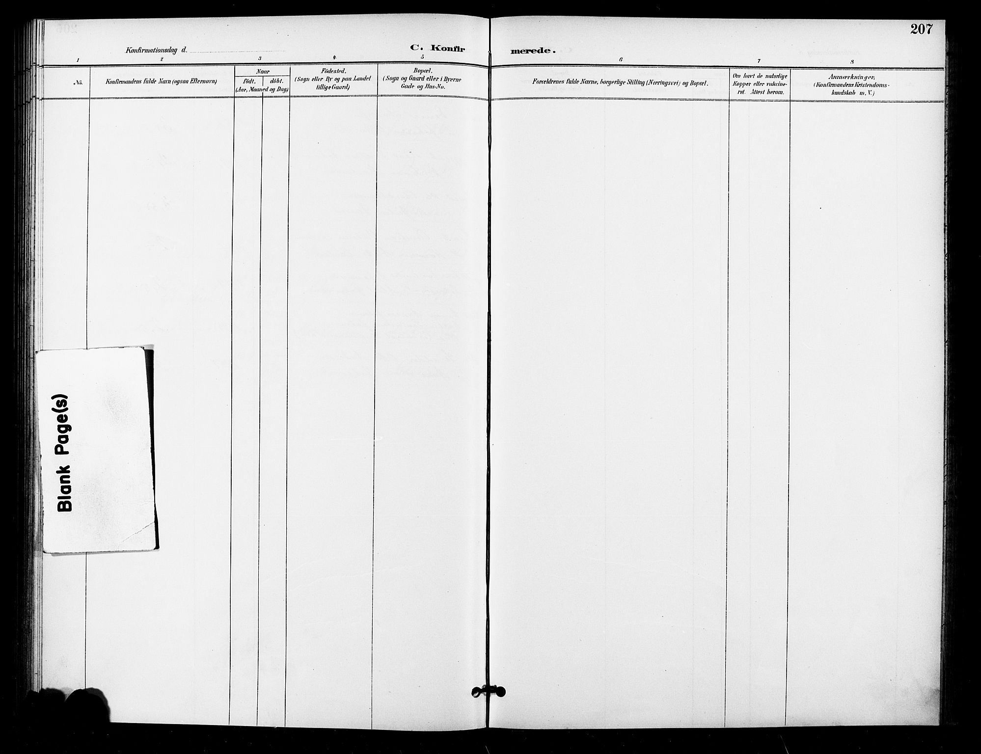 Grønland prestekontor Kirkebøker, SAO/A-10848/F/Fa/L0011: Ministerialbok nr. 11, 1892-1907, s. 207