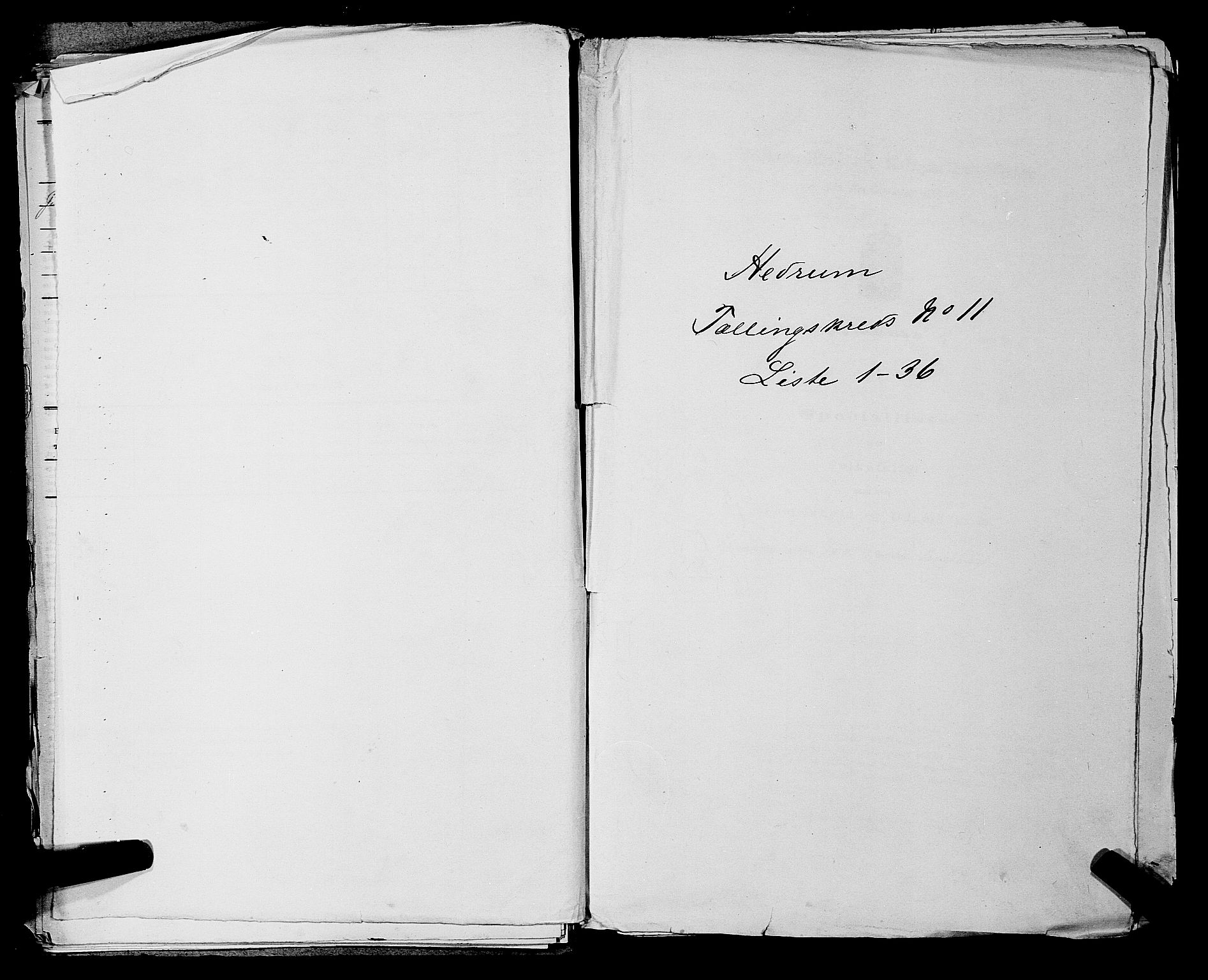 SAKO, Folketelling 1875 for 0727P Hedrum prestegjeld, 1875, s. 1031