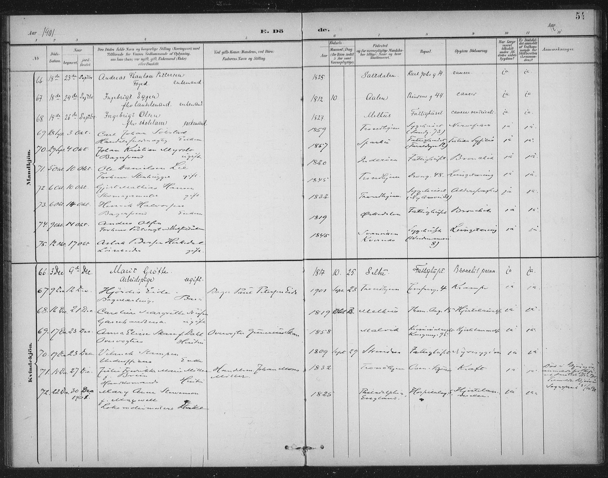 Ministerialprotokoller, klokkerbøker og fødselsregistre - Sør-Trøndelag, SAT/A-1456/602/L0123: Ministerialbok nr. 602A21, 1895-1910, s. 54