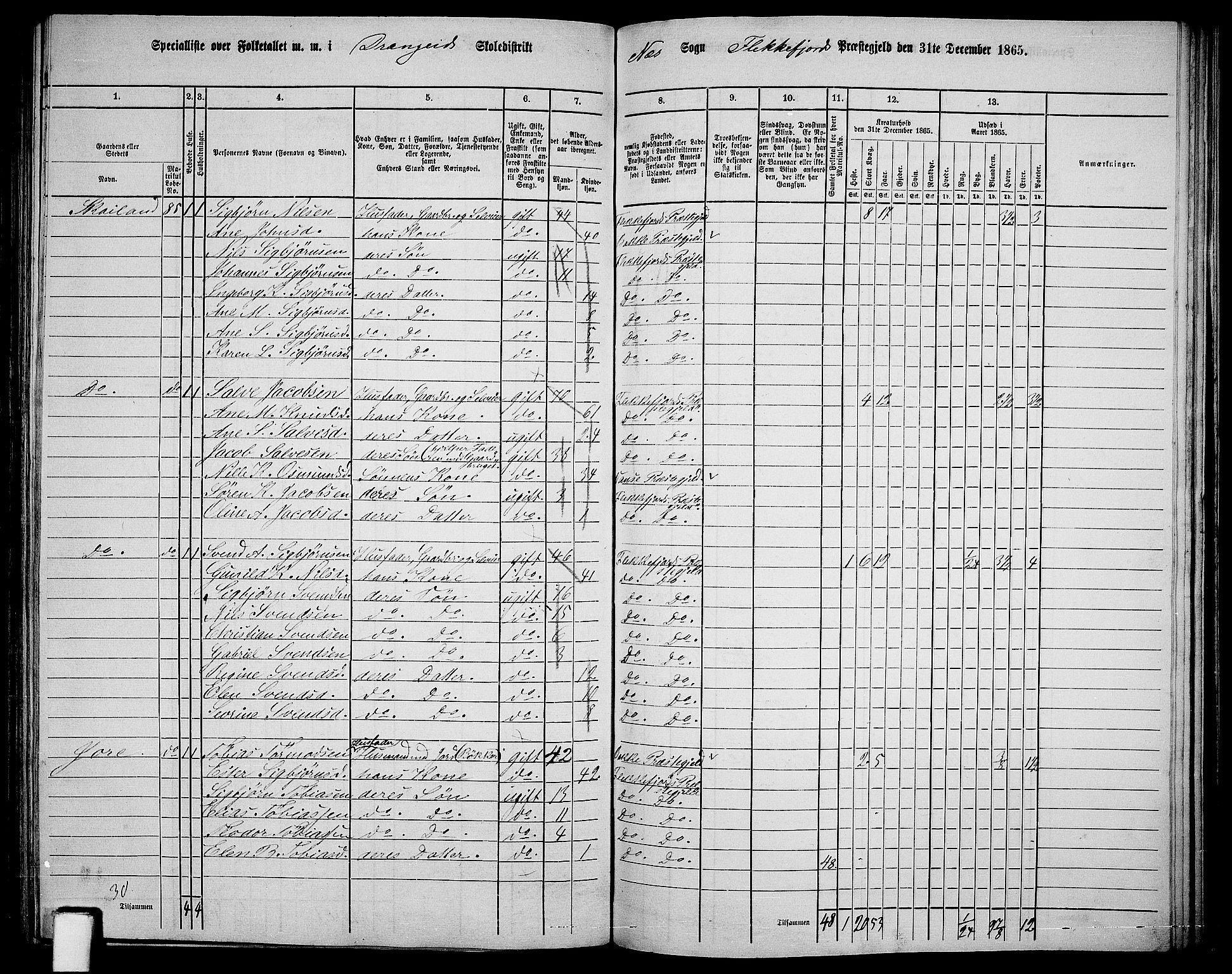 RA, Folketelling 1865 for 1042L Flekkefjord prestegjeld, Nes sokn og Hidra sokn, 1865, s. 145