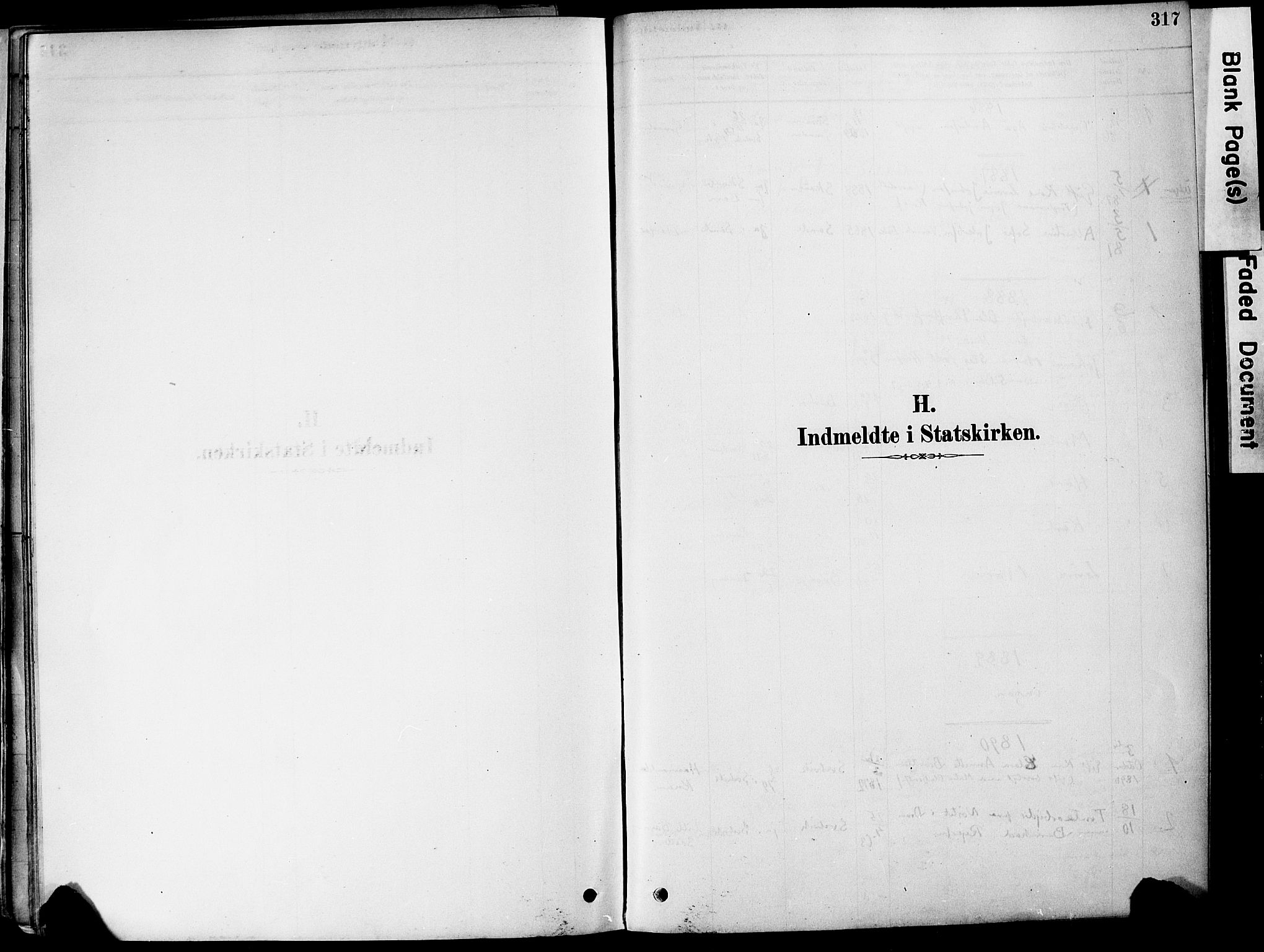Strømm kirkebøker, SAKO/A-322/F/Fa/L0004: Ministerialbok nr. I 4, 1878-1899, s. 317