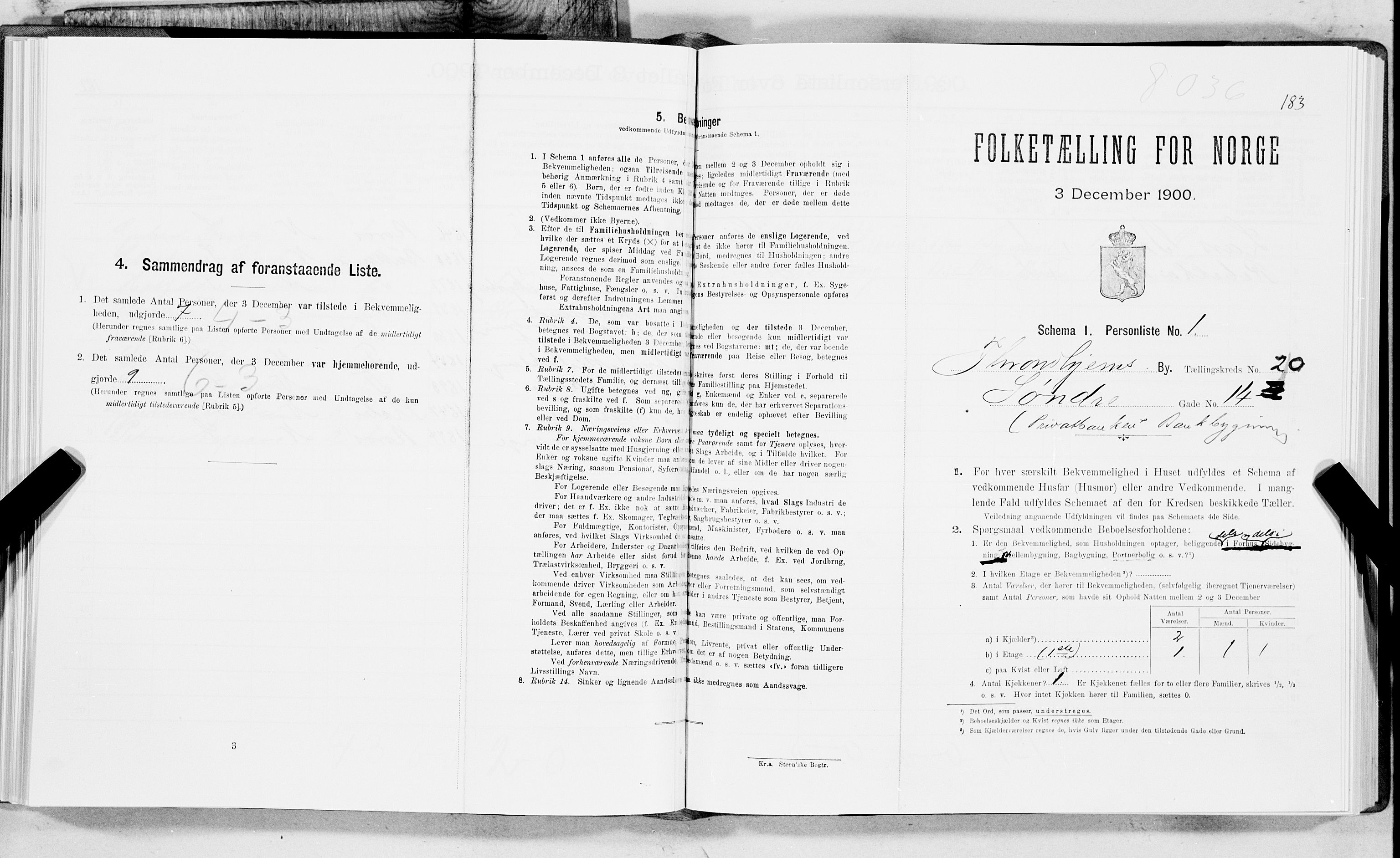 SAT, Folketelling 1900 for 1601 Trondheim kjøpstad, 1900, s. 3247
