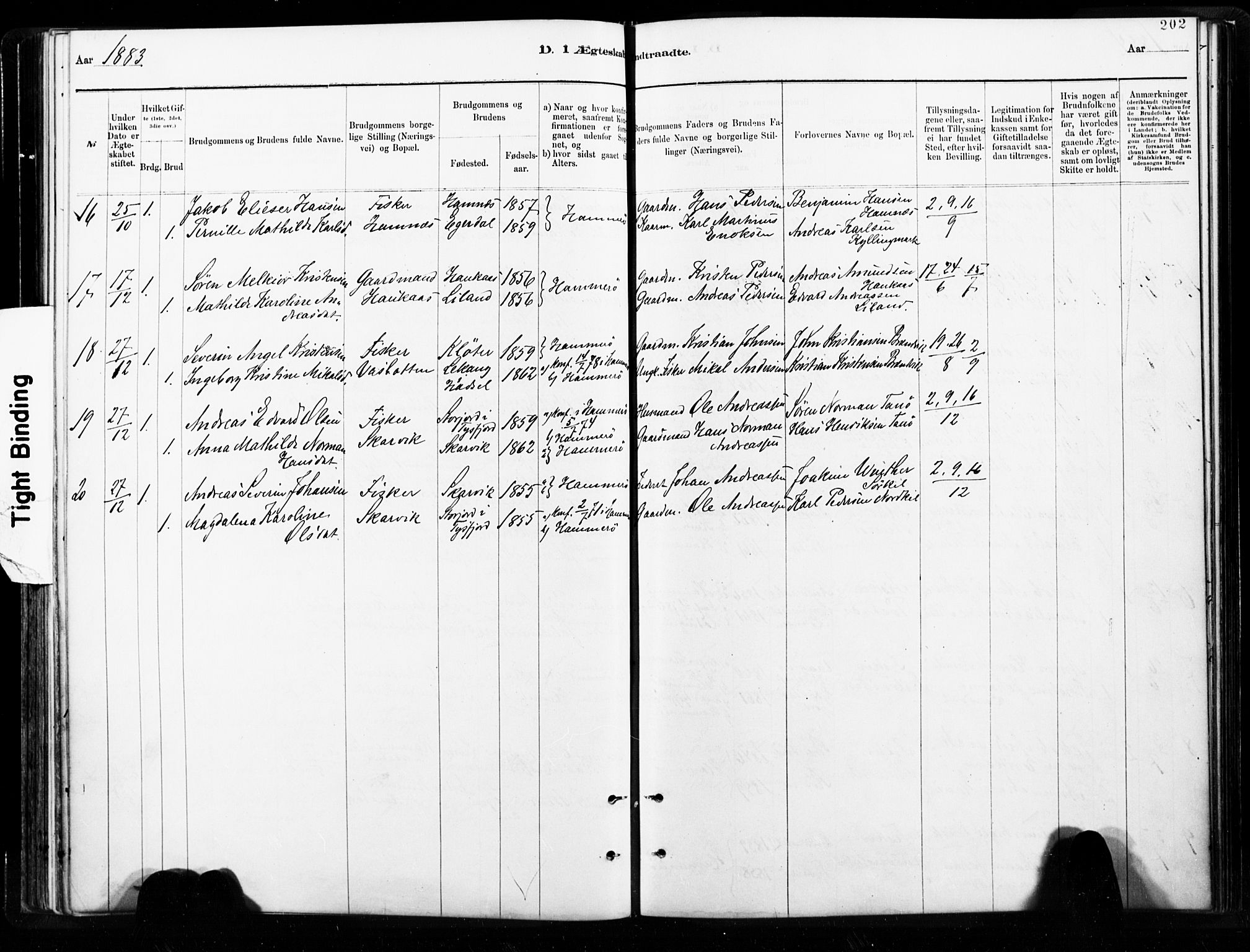 Ministerialprotokoller, klokkerbøker og fødselsregistre - Nordland, AV/SAT-A-1459/859/L0846: Ministerialbok nr. 859A06, 1878-1889, s. 202