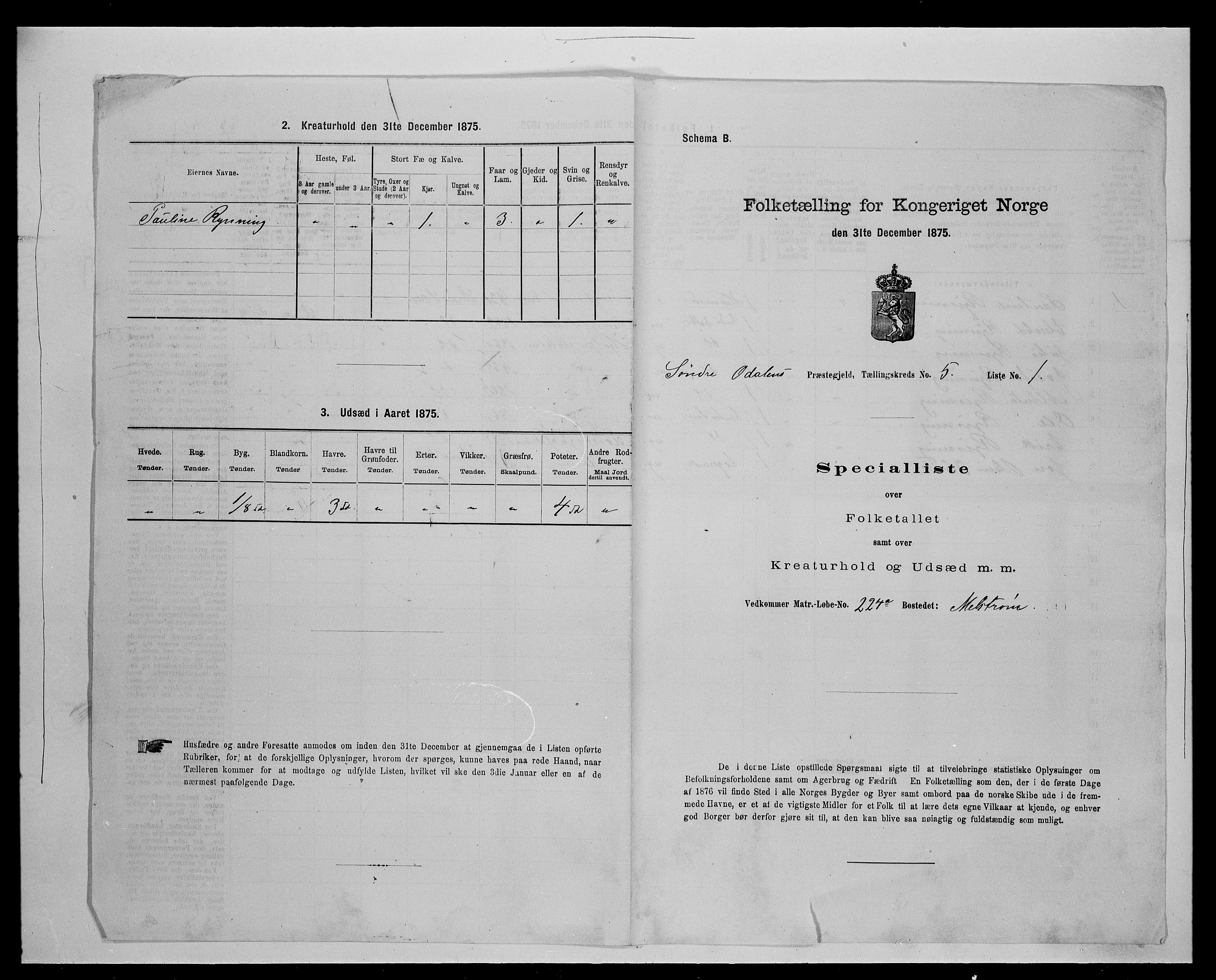 SAH, Folketelling 1875 for 0419P Sør-Odal prestegjeld, 1875, s. 488