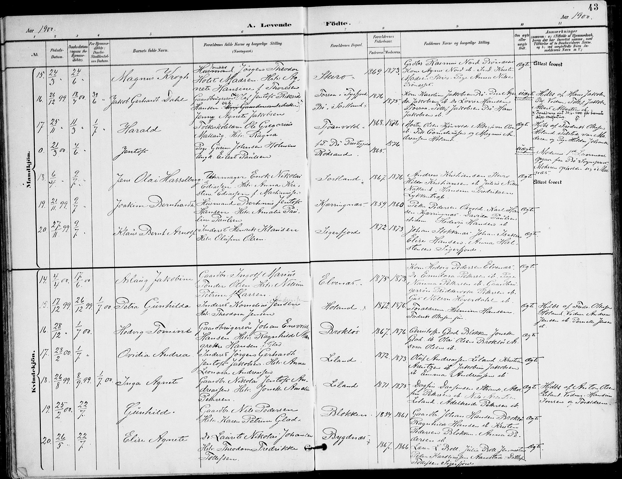 Ministerialprotokoller, klokkerbøker og fødselsregistre - Nordland, AV/SAT-A-1459/895/L1372: Ministerialbok nr. 895A07, 1894-1914, s. 43