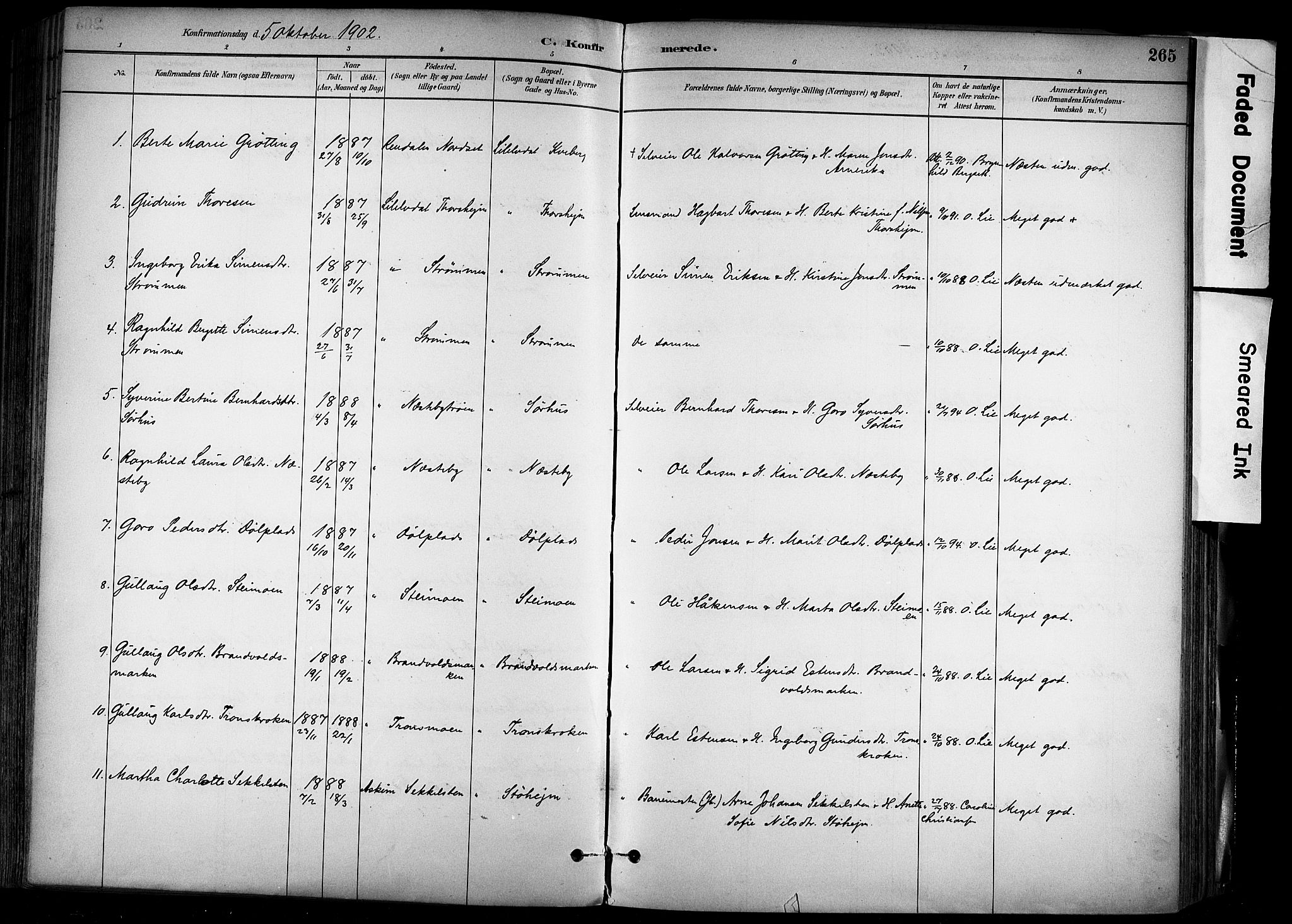 Alvdal prestekontor, AV/SAH-PREST-060/H/Ha/Haa/L0002: Ministerialbok nr. 2, 1883-1906, s. 265
