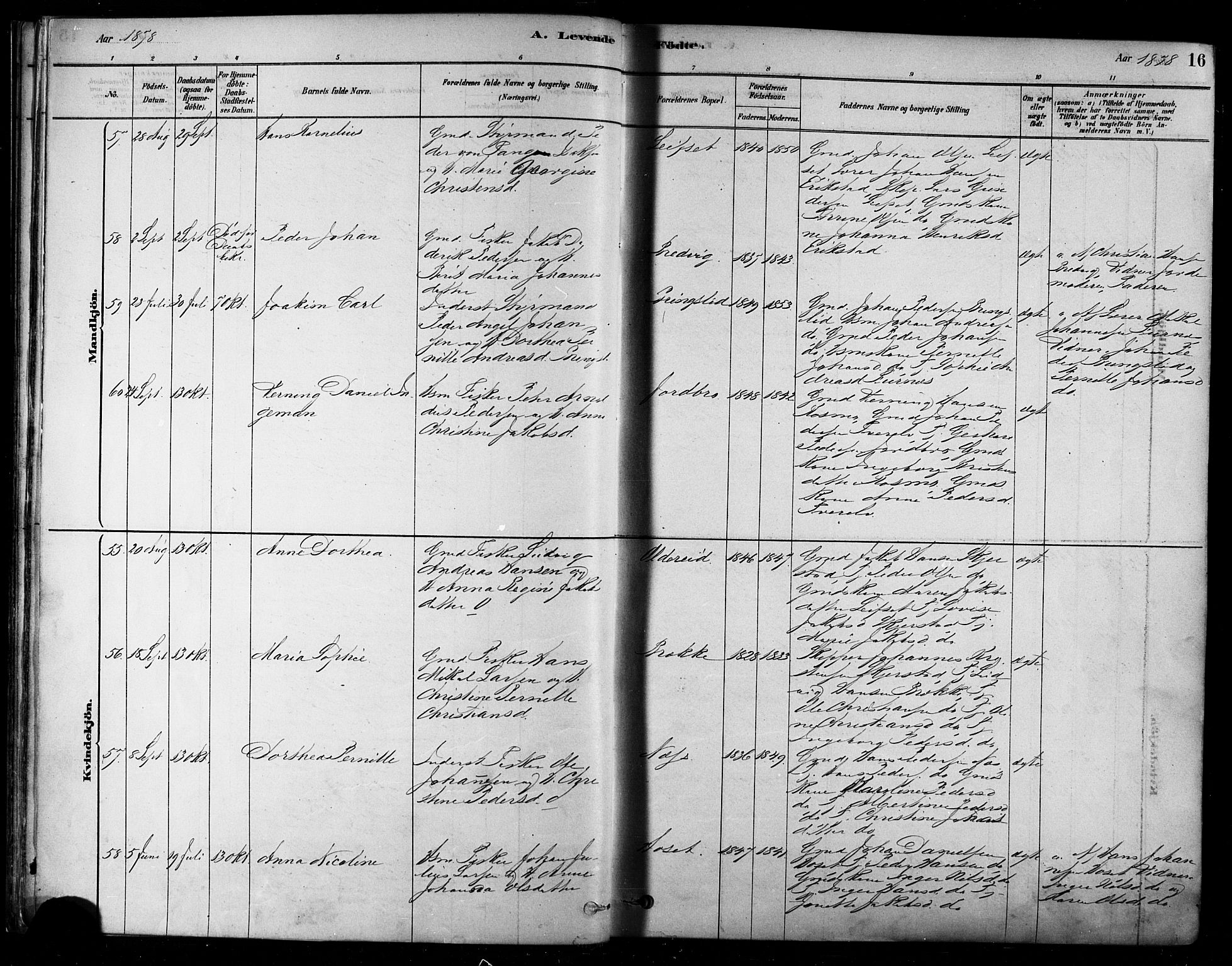 Ministerialprotokoller, klokkerbøker og fødselsregistre - Nordland, SAT/A-1459/852/L0740: Ministerialbok nr. 852A10, 1878-1894, s. 16