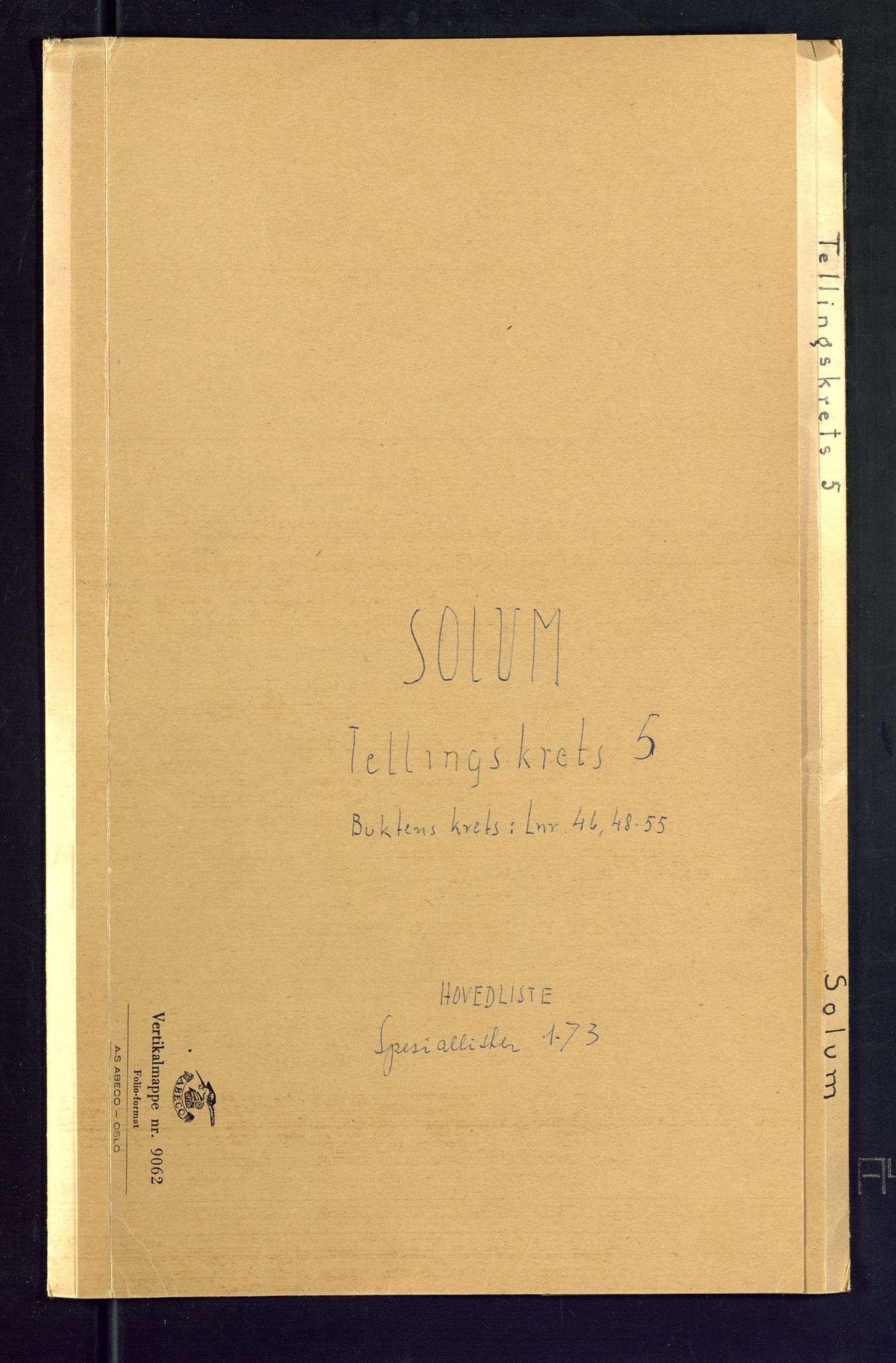 SAKO, Folketelling 1875 for 0818P Solum prestegjeld, 1875, s. 22