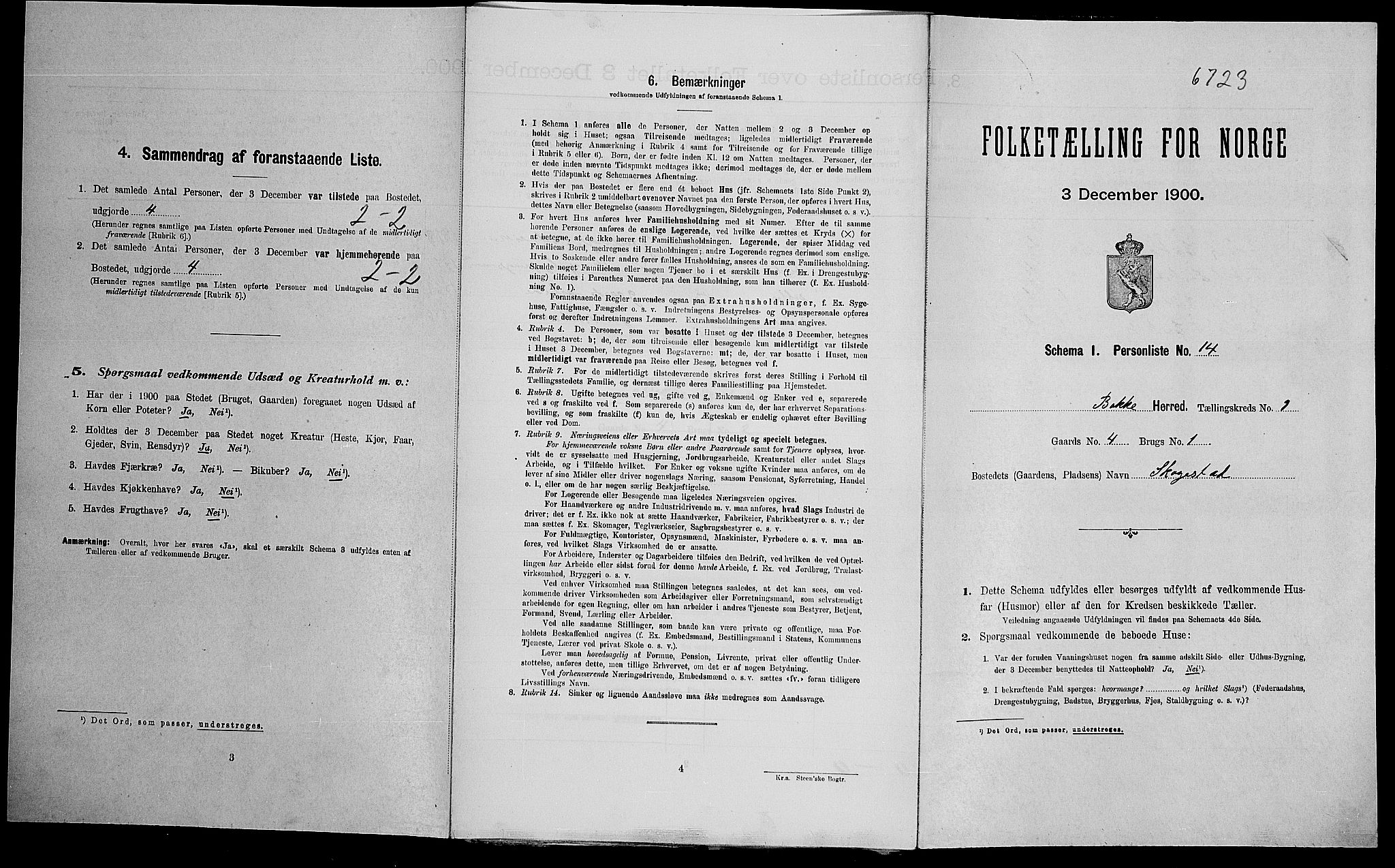 SAK, Folketelling 1900 for 1045 Bakke herred, 1900, s. 505
