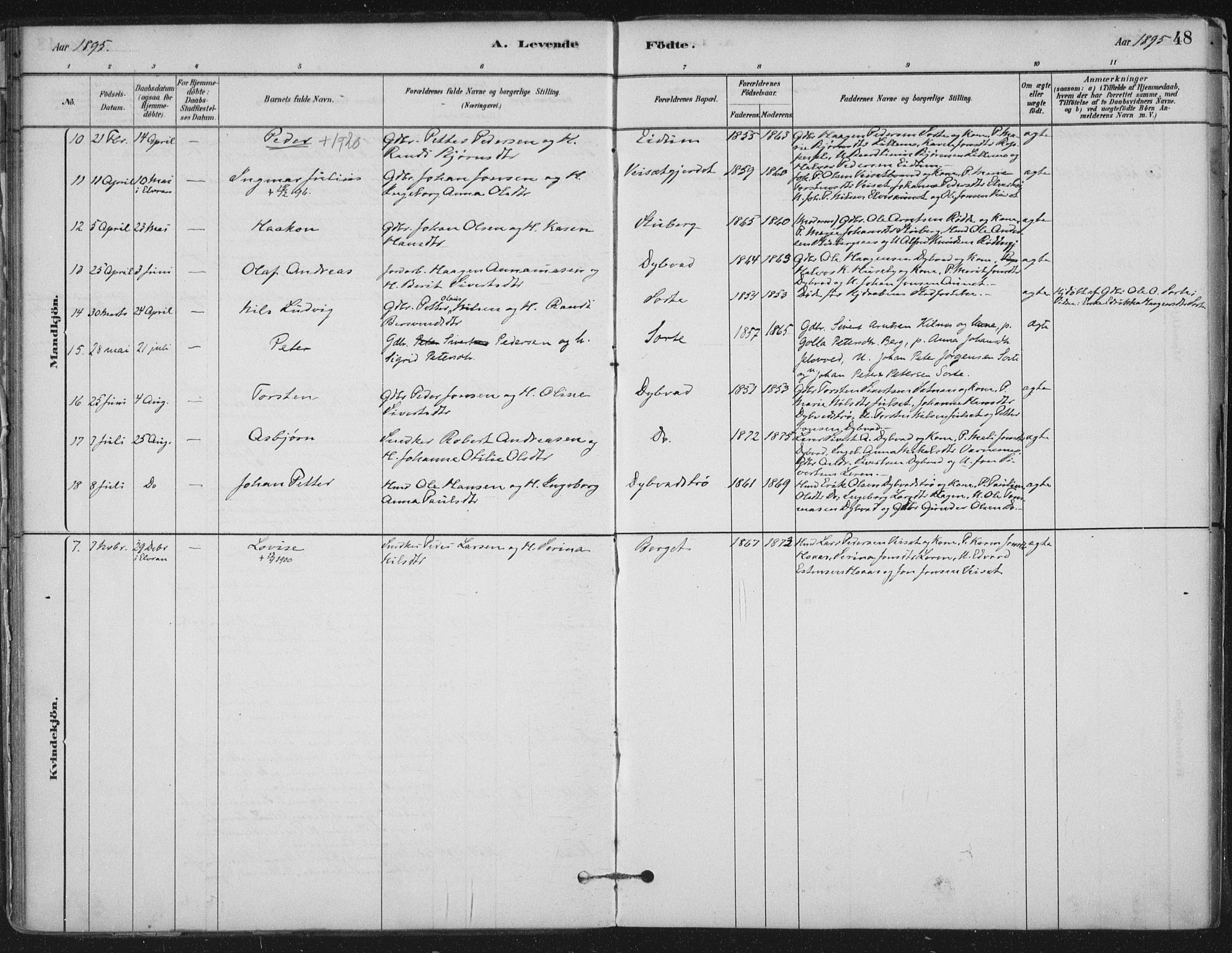 Ministerialprotokoller, klokkerbøker og fødselsregistre - Nord-Trøndelag, AV/SAT-A-1458/710/L0095: Ministerialbok nr. 710A01, 1880-1914, s. 48