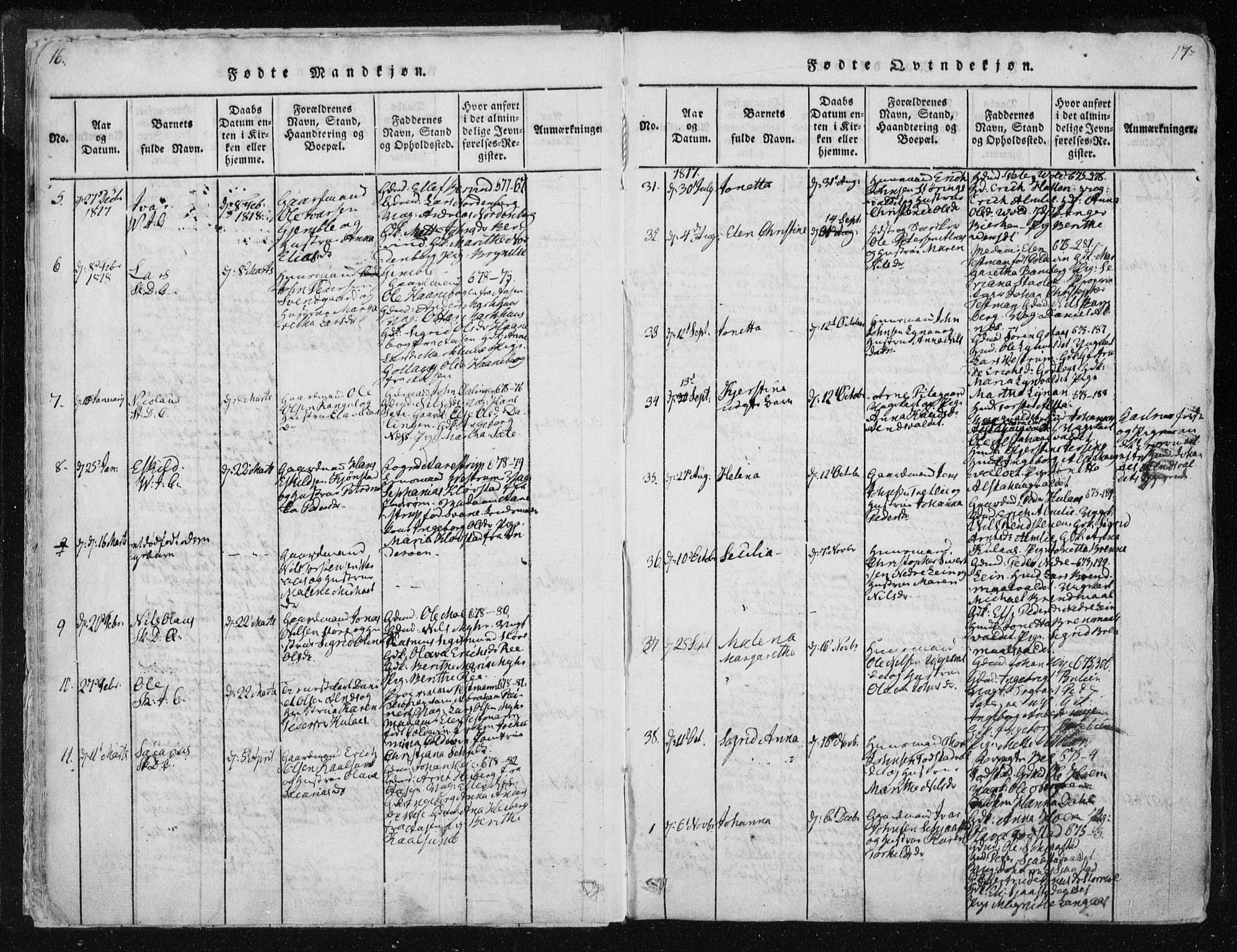 Ministerialprotokoller, klokkerbøker og fødselsregistre - Nord-Trøndelag, AV/SAT-A-1458/717/L0148: Ministerialbok nr. 717A04 /1, 1816-1825, s. 16-17