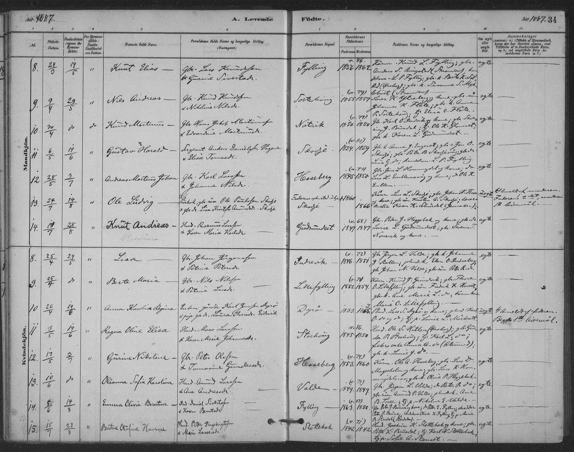 Ministerialprotokoller, klokkerbøker og fødselsregistre - Møre og Romsdal, AV/SAT-A-1454/524/L0356: Ministerialbok nr. 524A08, 1880-1899, s. 34