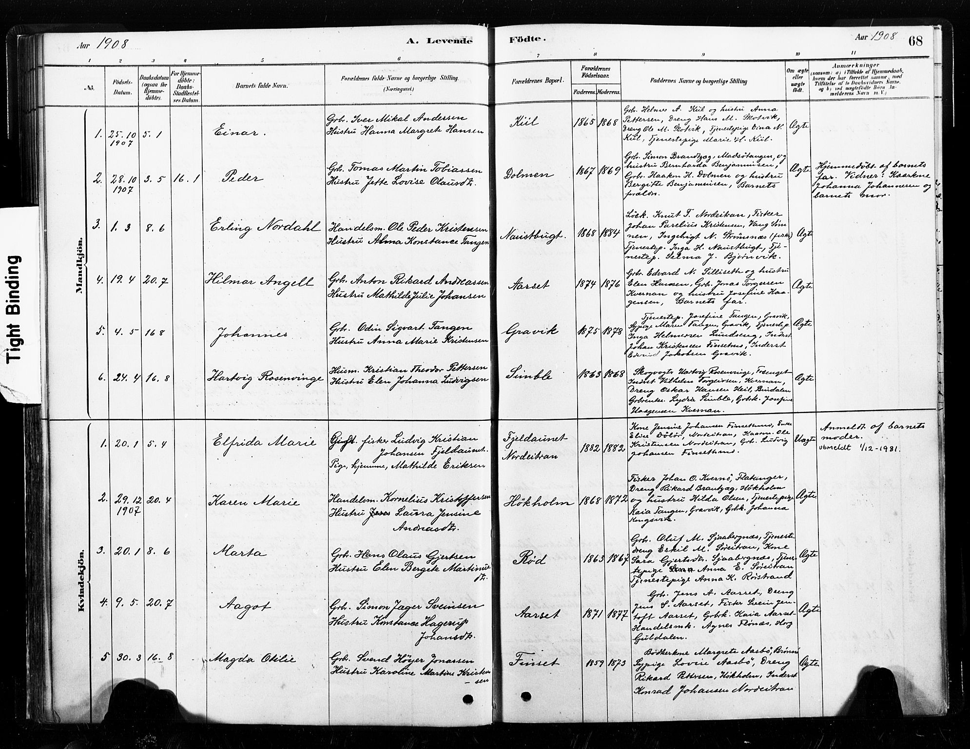 Ministerialprotokoller, klokkerbøker og fødselsregistre - Nord-Trøndelag, SAT/A-1458/789/L0705: Ministerialbok nr. 789A01, 1878-1910, s. 68