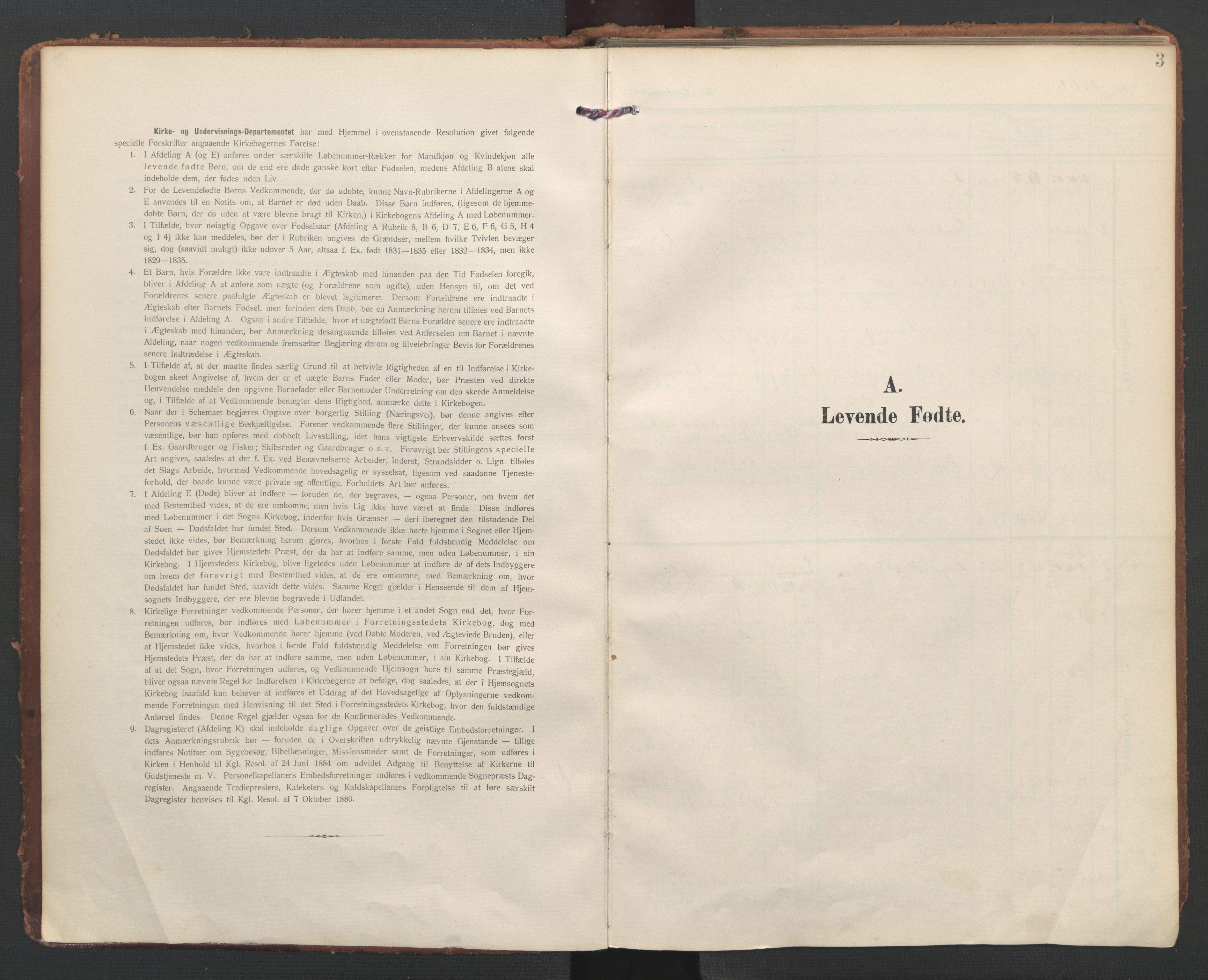 Ministerialprotokoller, klokkerbøker og fødselsregistre - Nordland, SAT/A-1459/855/L0805: Ministerialbok nr. 855A13, 1906-1920, s. 3