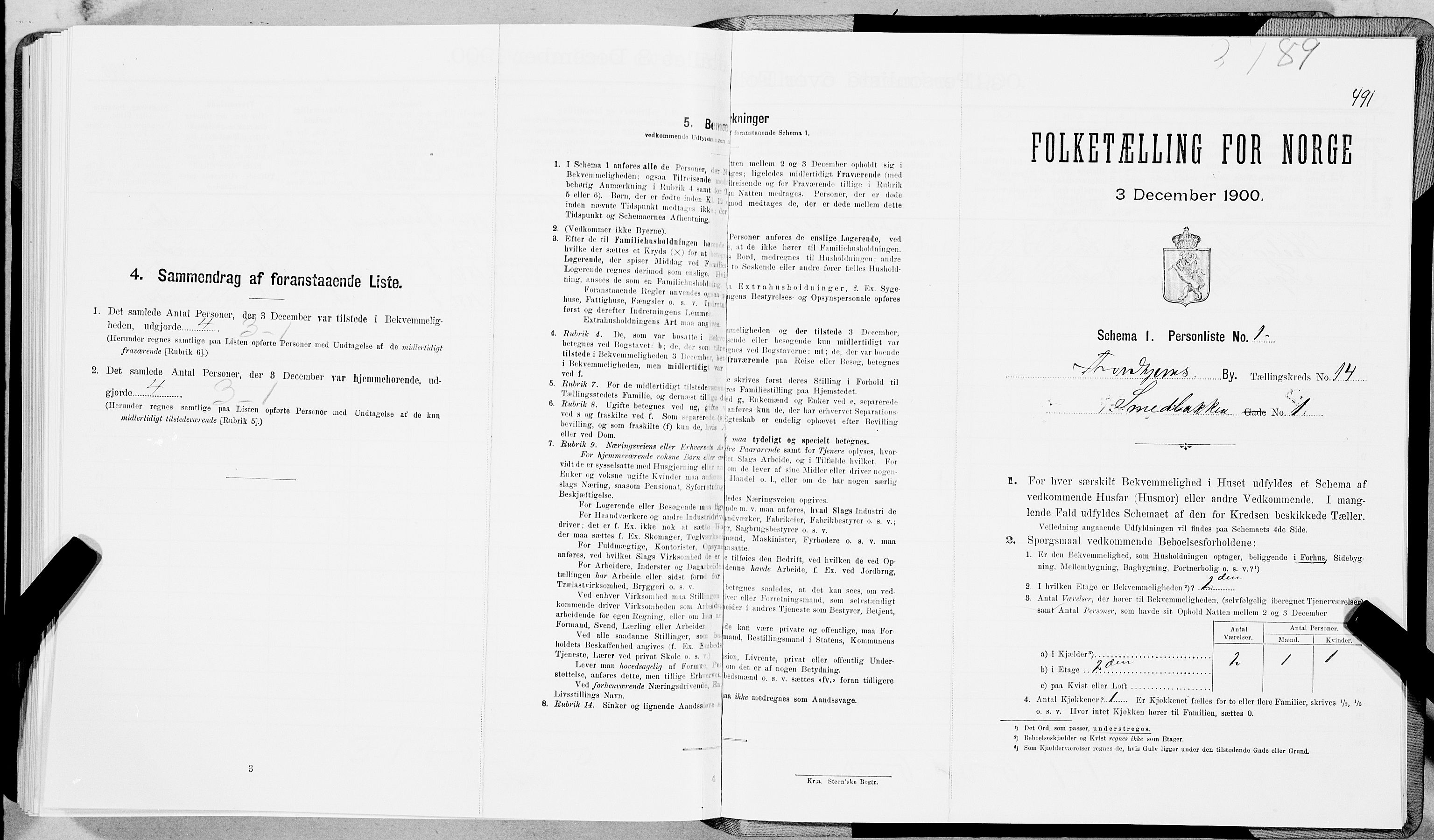 SAT, Folketelling 1900 for 1601 Trondheim kjøpstad, 1900, s. 2523