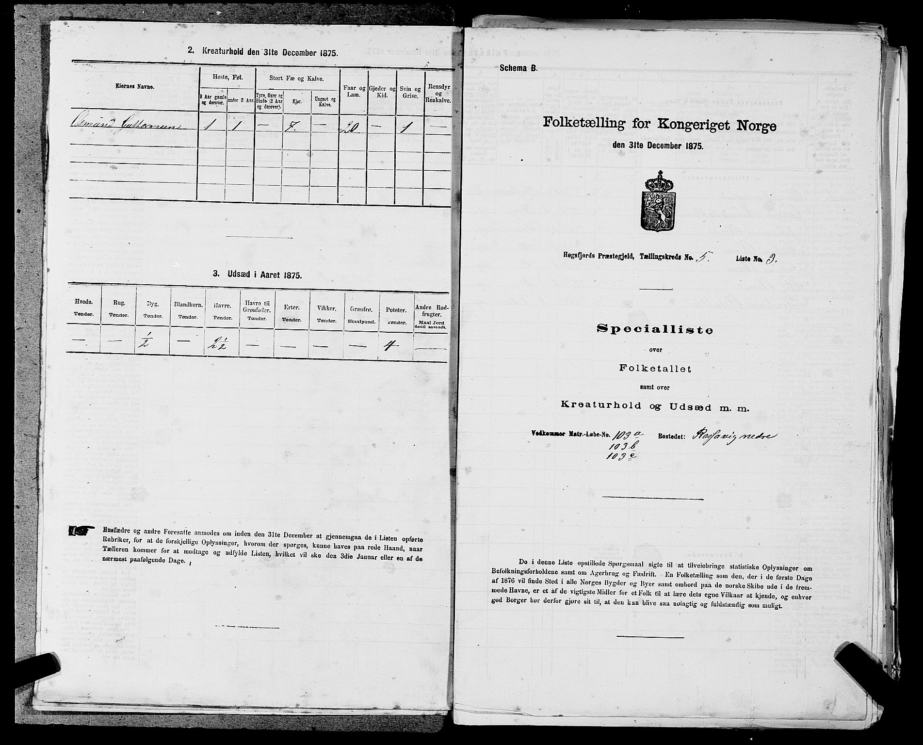 SAST, Folketelling 1875 for 1128P Høgsfjord prestegjeld, 1875, s. 427