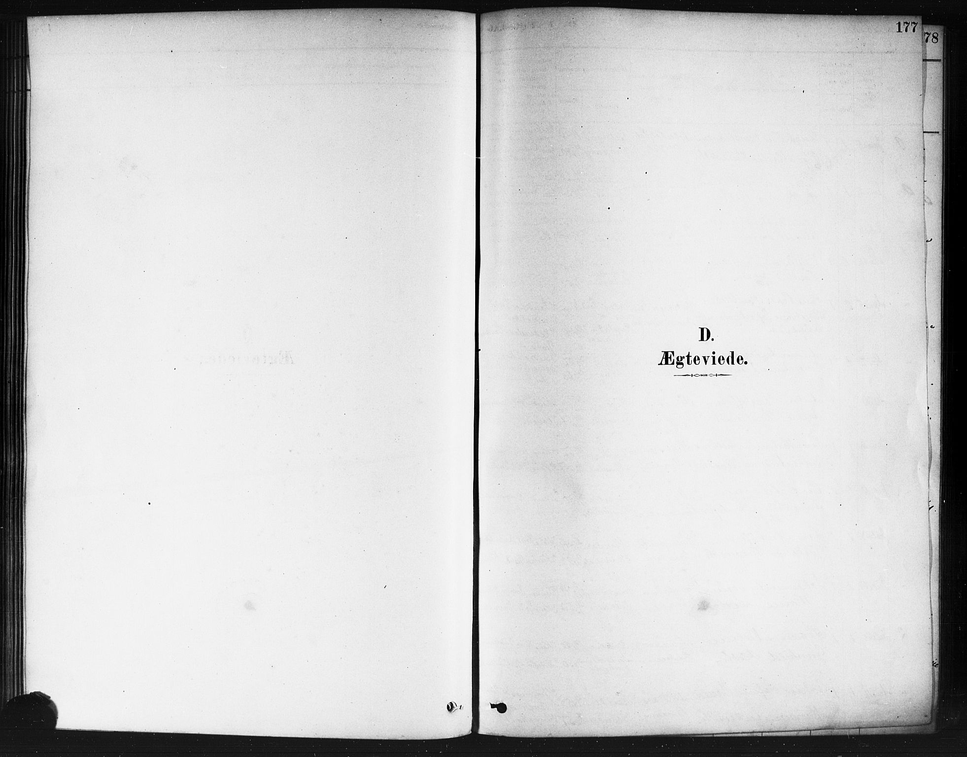 Nedre Eiker kirkebøker, SAKO/A-612/F/Fa/L0002: Ministerialbok nr. 2, 1878-1885, s. 177