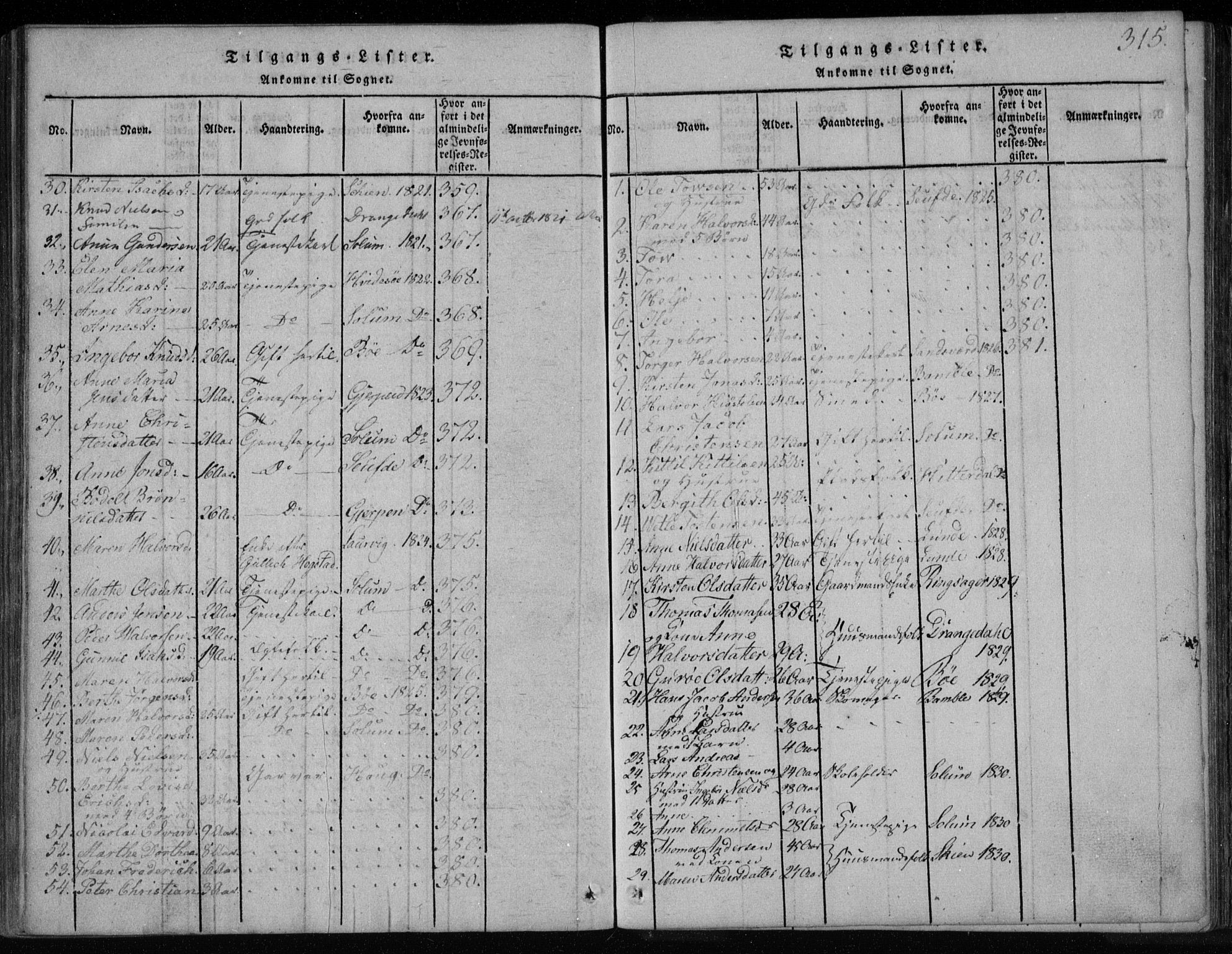 Holla kirkebøker, AV/SAKO-A-272/F/Fa/L0003: Ministerialbok nr. 3, 1815-1830, s. 315