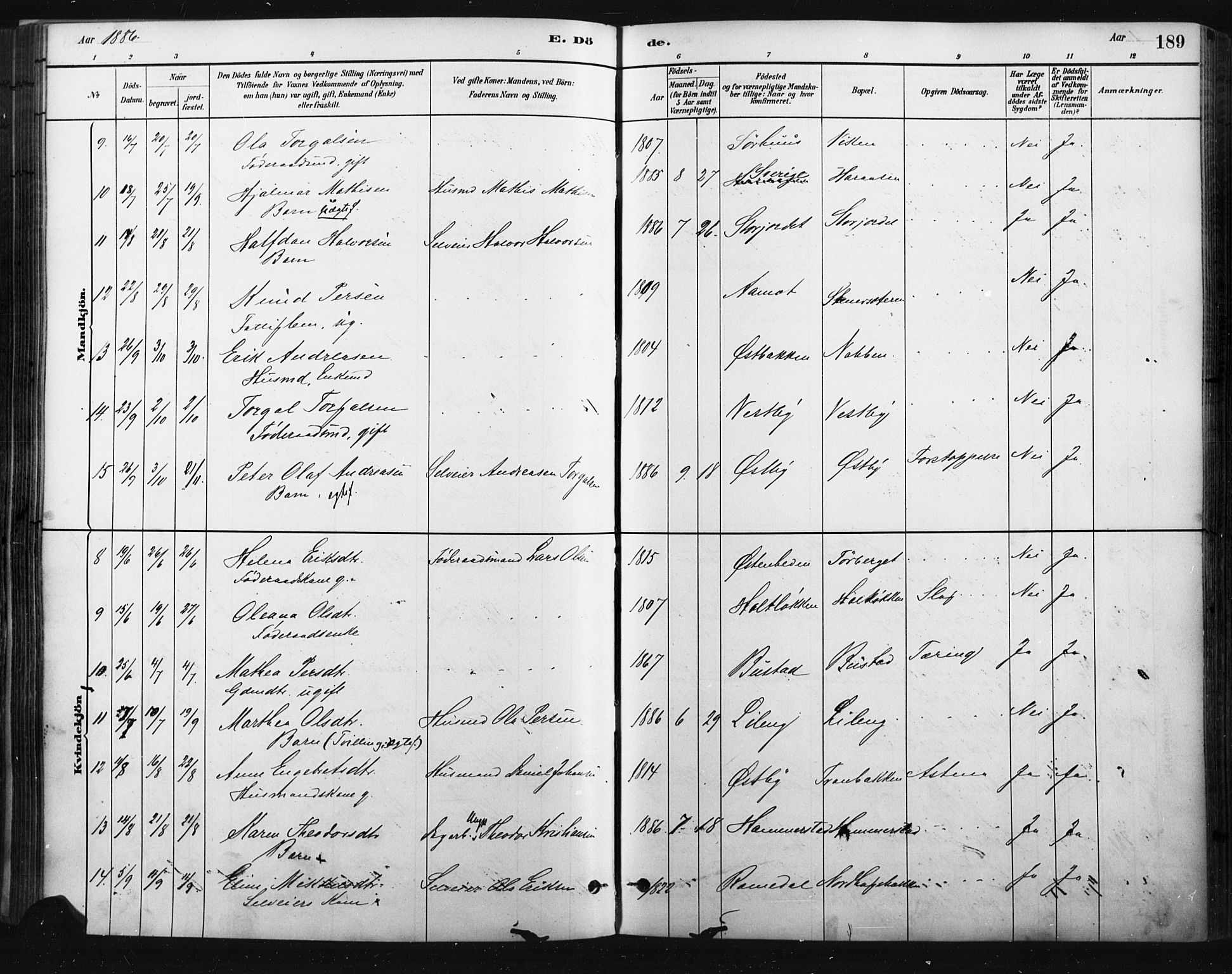 Trysil prestekontor, AV/SAH-PREST-046/H/Ha/Haa/L0009: Ministerialbok nr. 9, 1881-1897, s. 189