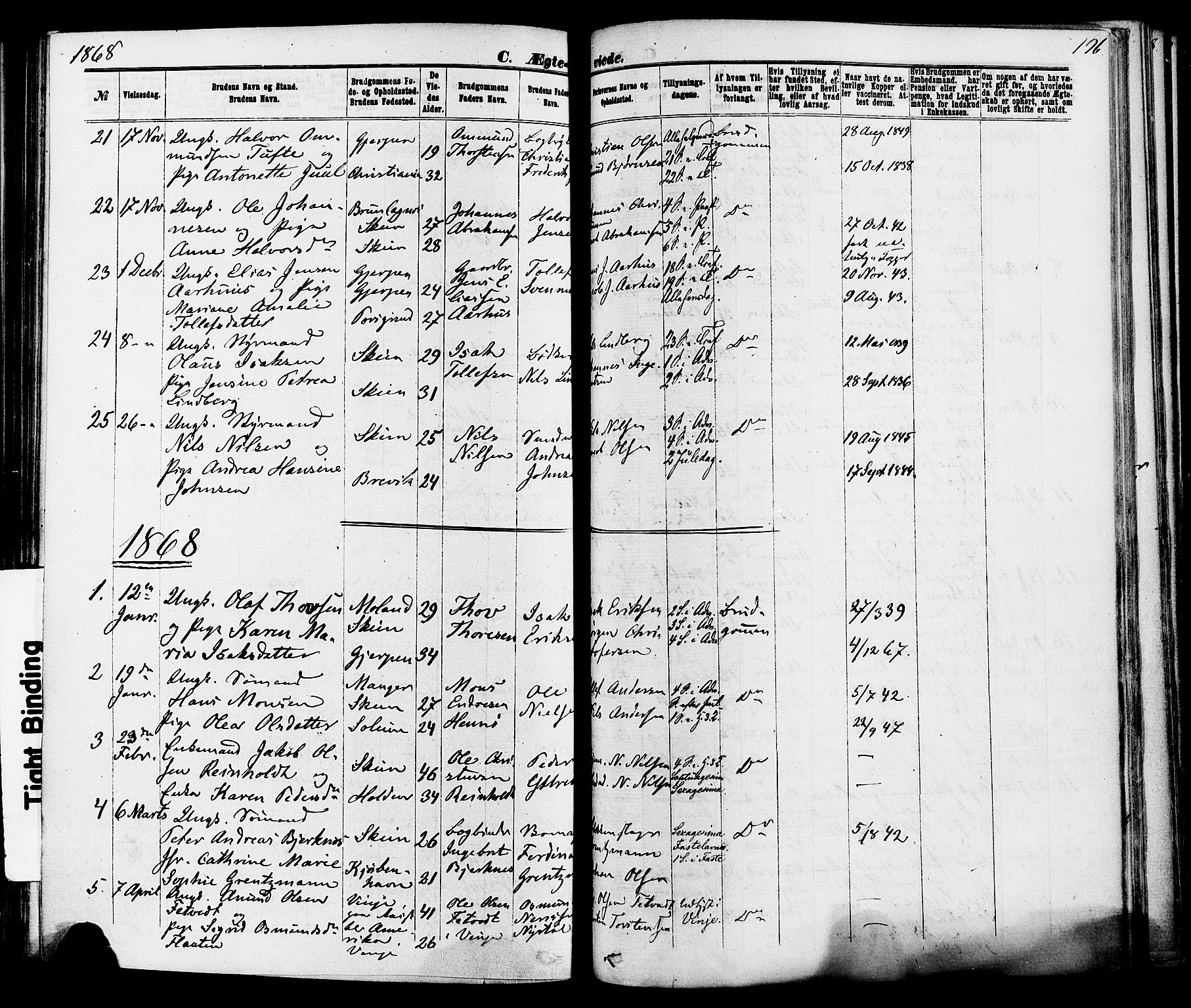 Skien kirkebøker, AV/SAKO-A-302/F/Fa/L0008: Ministerialbok nr. 8, 1866-1877, s. 196