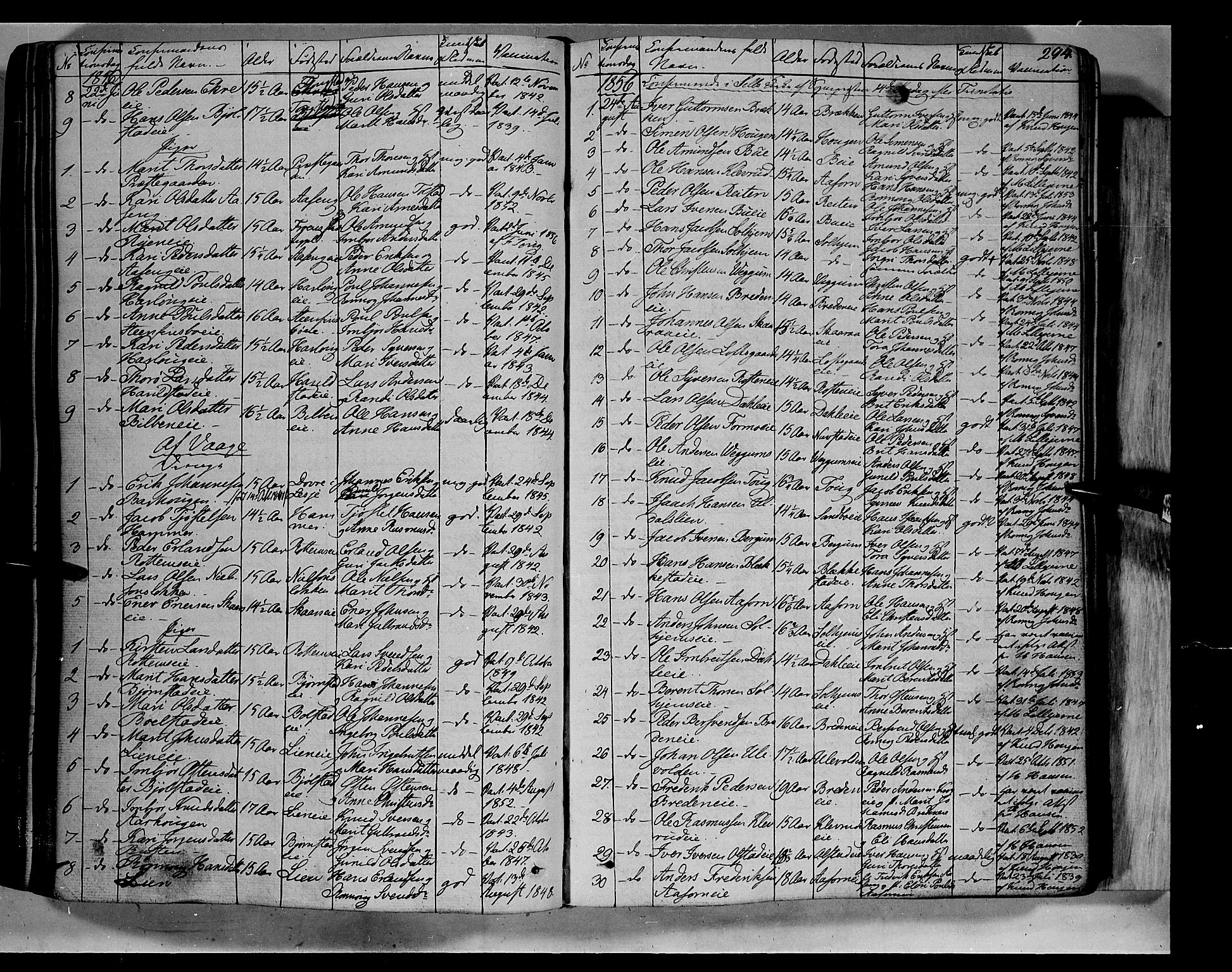 Vågå prestekontor, AV/SAH-PREST-076/H/Ha/Haa/L0005: Ministerialbok nr. 5 /1, 1842-1856, s. 294
