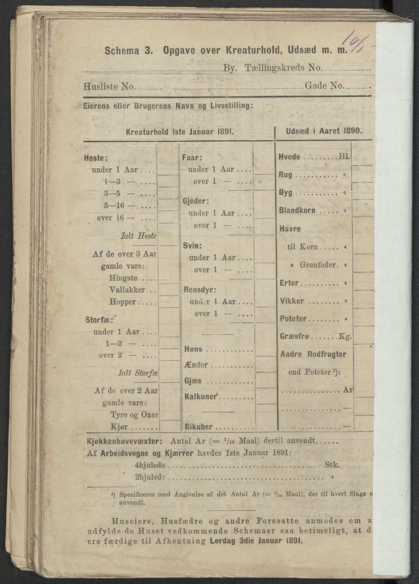 RA, Folketelling 1891 for 1301 Bergen kjøpstad, 1891, s. 1338