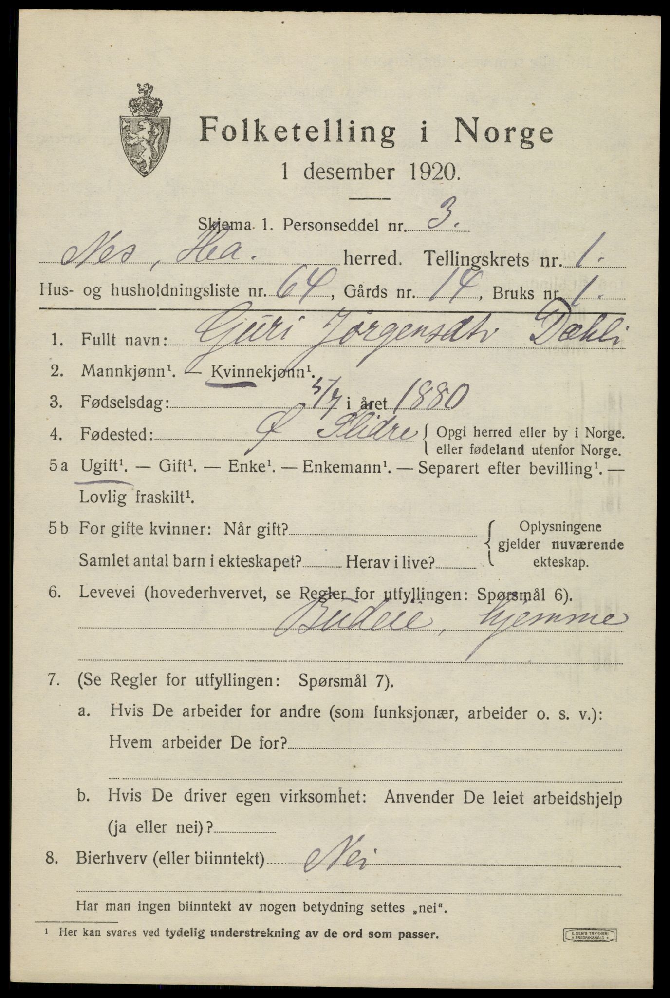 SAH, Folketelling 1920 for 0411 Nes herred, 1920, s. 1954