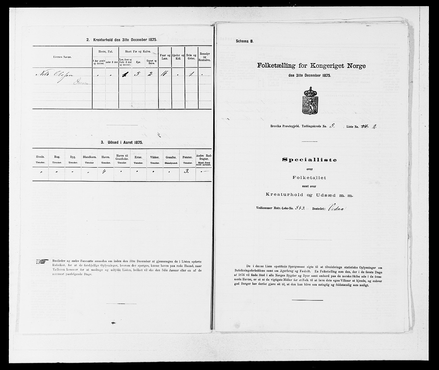 SAB, Folketelling 1875 for 1251P Bruvik prestegjeld, 1875, s. 407