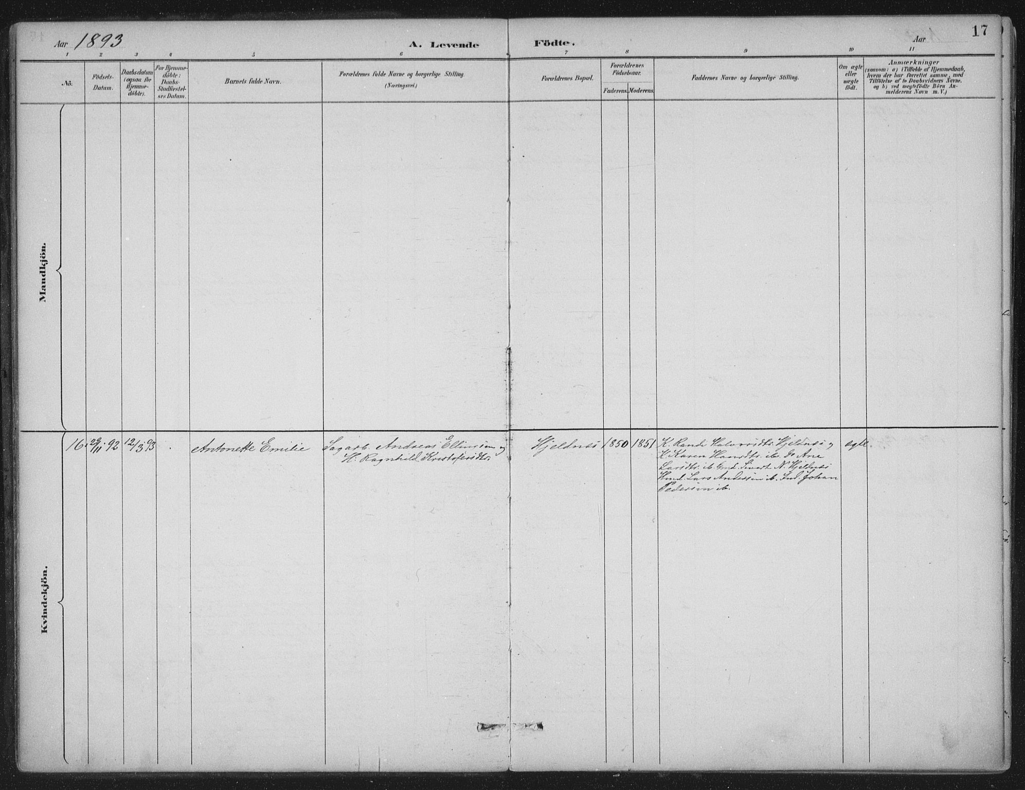 Ministerialprotokoller, klokkerbøker og fødselsregistre - Møre og Romsdal, AV/SAT-A-1454/580/L0925: Ministerialbok nr. 580A02, 1888-1913, s. 17