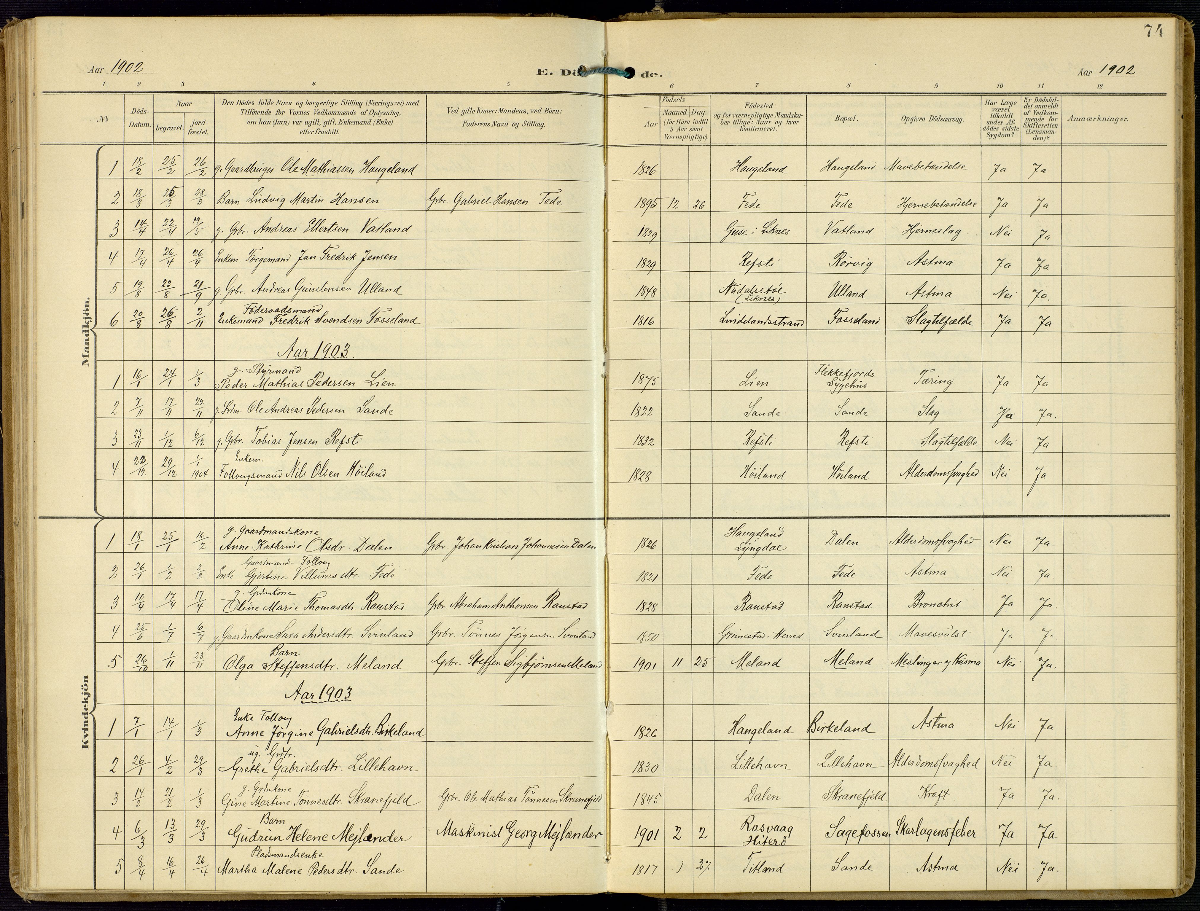 Kvinesdal sokneprestkontor, AV/SAK-1111-0026/F/Fa/Faa/L0005: Ministerialbok nr. A 5, 1898-1915, s. 74