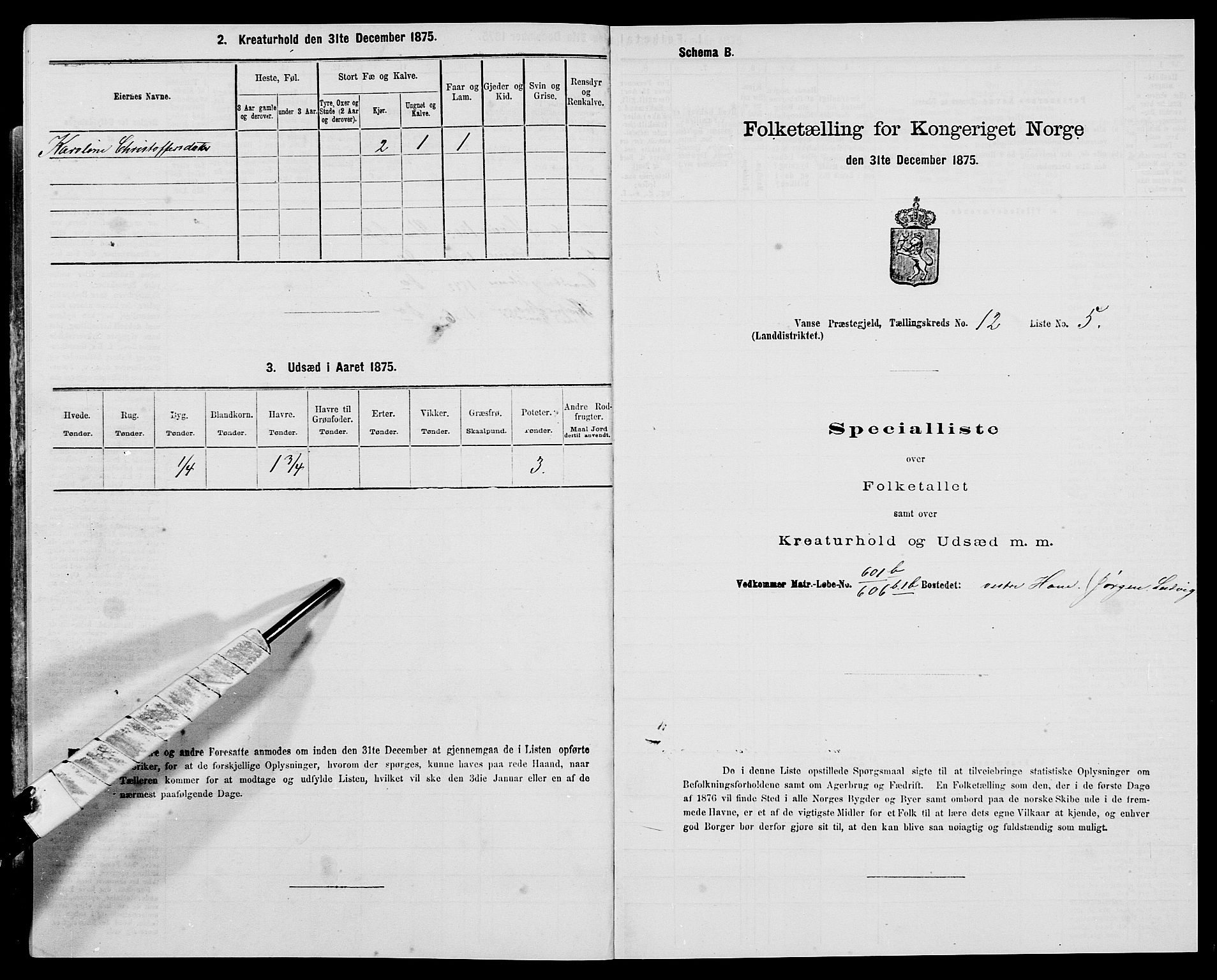 SAK, Folketelling 1875 for 1041L Vanse prestegjeld, Vanse sokn og Farsund landsokn, 1875, s. 2158