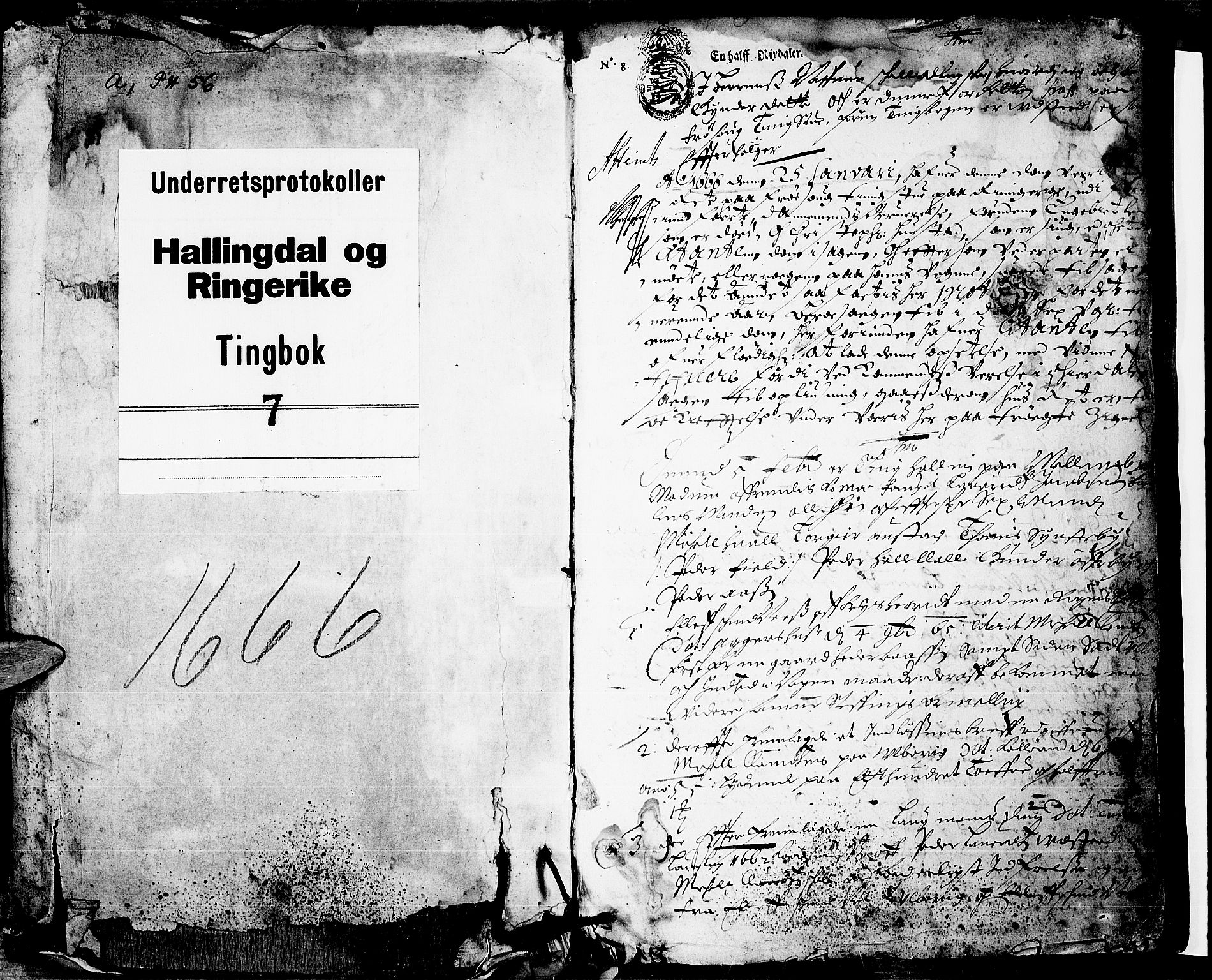 Ringerike og Hallingdal sorenskriveri, SAKO/A-81/F/Fa/Faa/L0007: Tingbok, 1666, s. 0b-1a