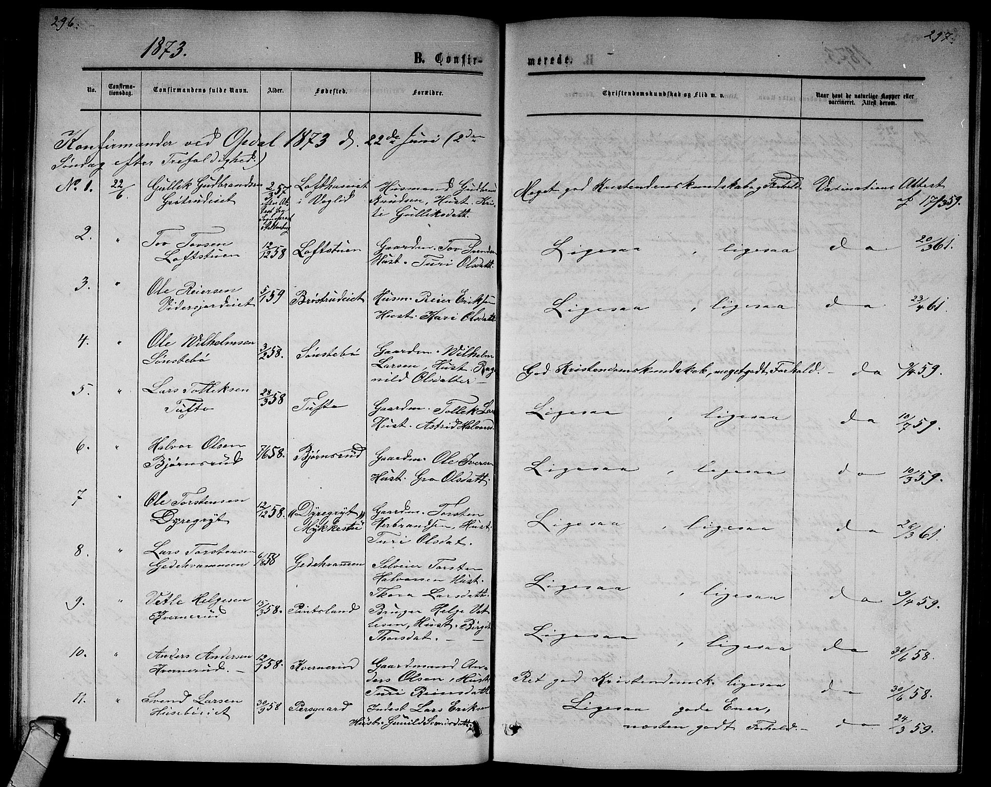 Nore kirkebøker, AV/SAKO-A-238/G/Gb/L0001: Klokkerbok nr. II 1, 1862-1877, s. 296-297