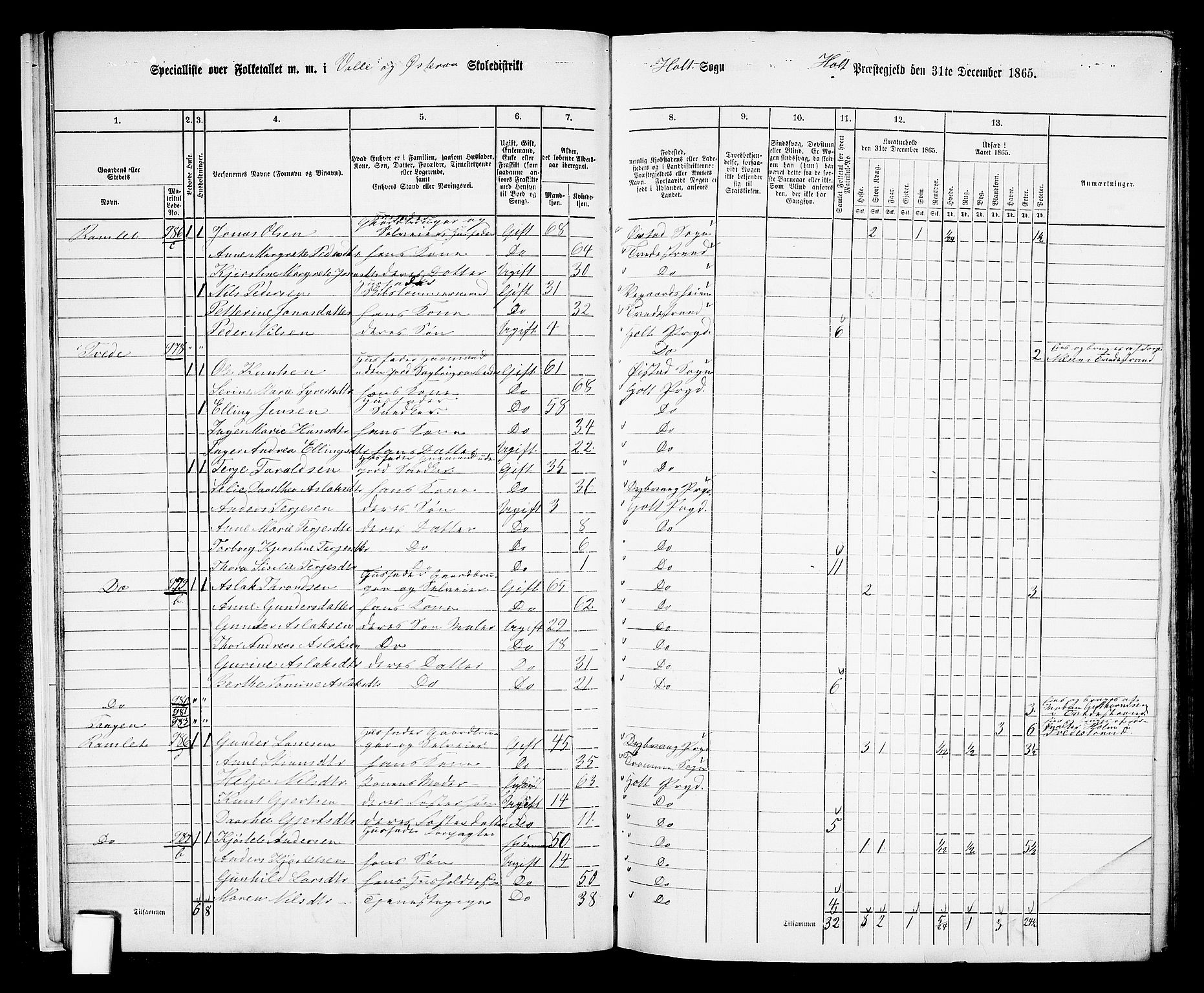 RA, Folketelling 1865 for 0914L Holt prestegjeld, Holt sokn, 1865, s. 19