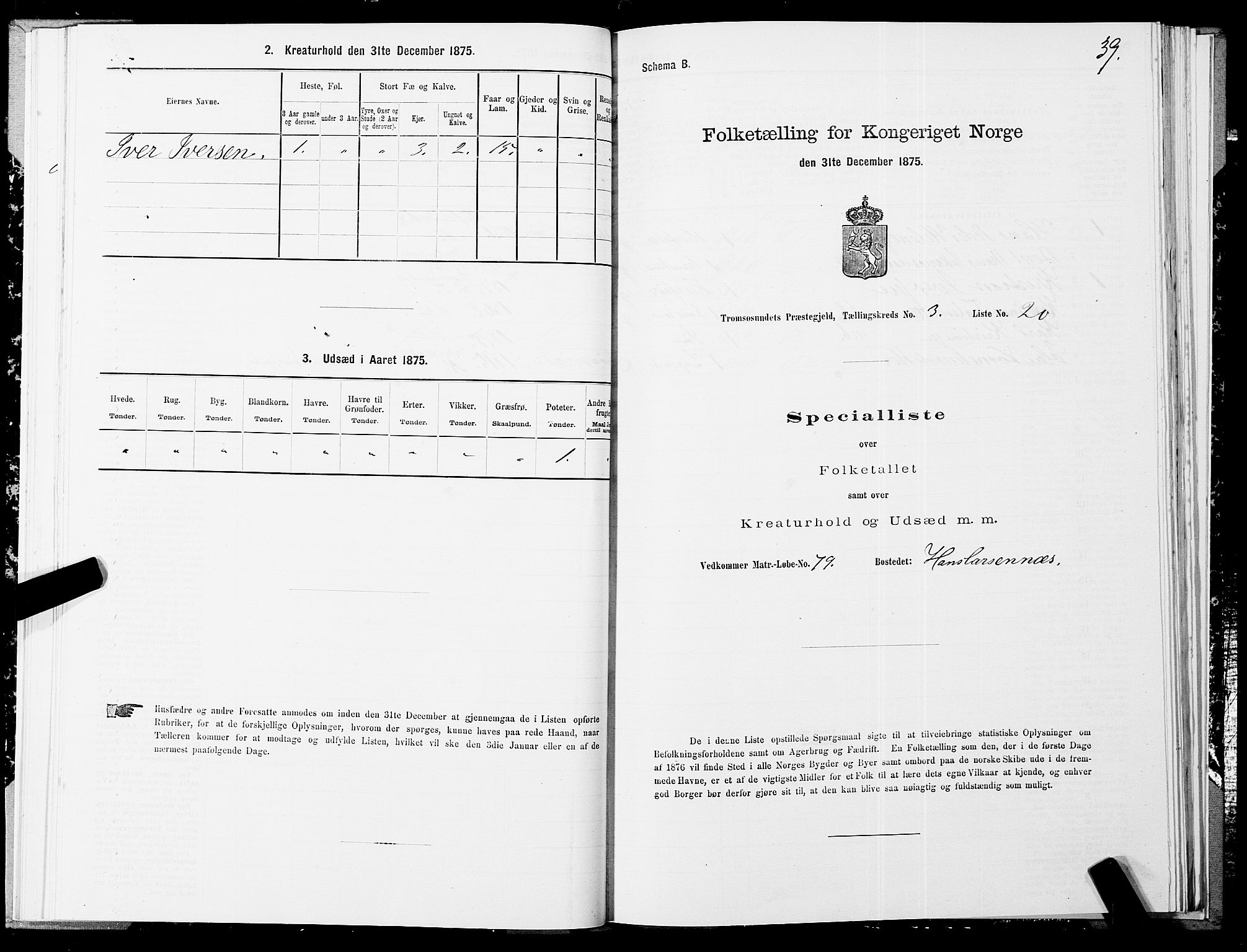 SATØ, Folketelling 1875 for 1934P Tromsøysund prestegjeld, 1875, s. 2039