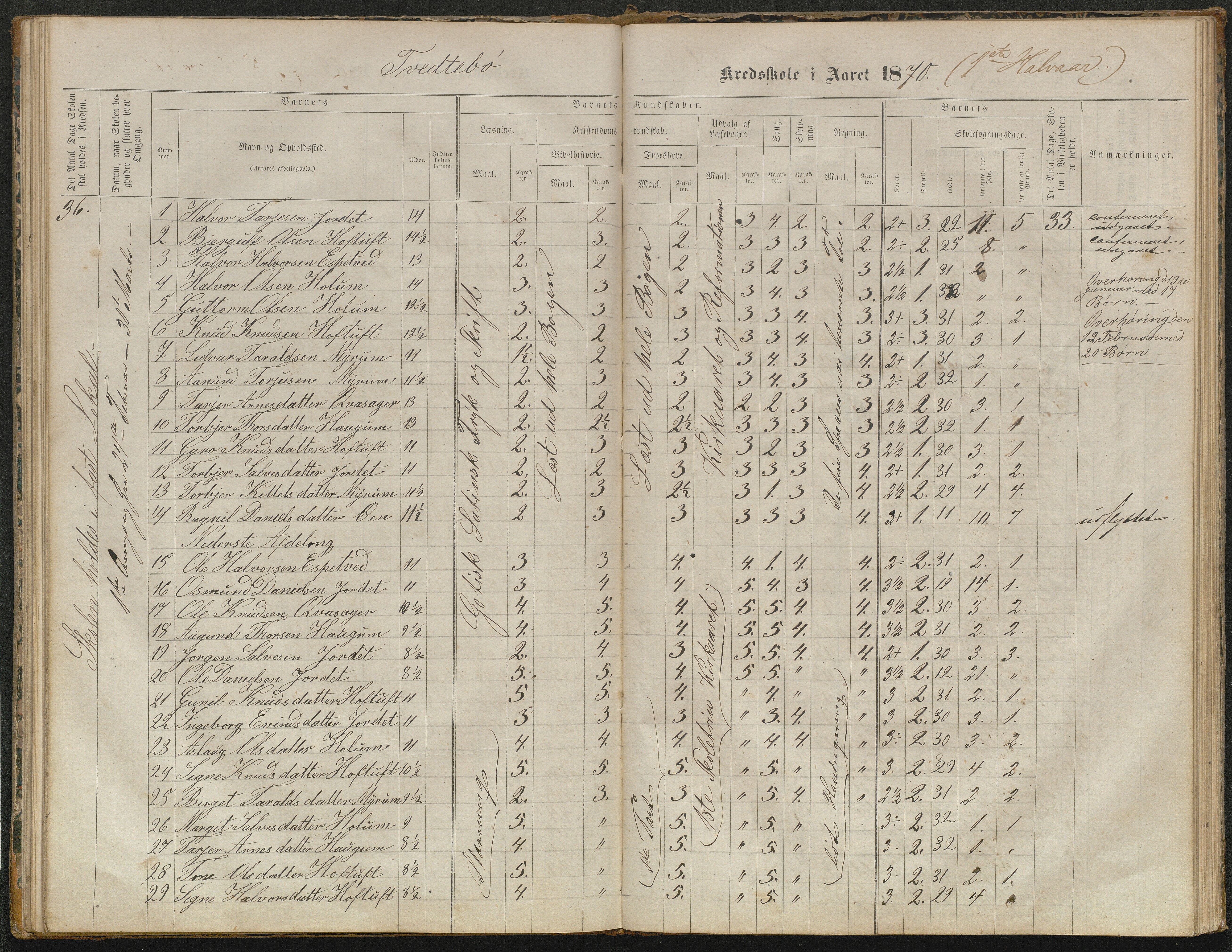 Valle kommune, AAKS/KA0940-PK/03/L0052: Karakterprotokoll for Homme skule. Karakterprotokoll for Oveinang skule. Karakterprotokoll for Tveitebø skule. Karakterprotokoll for den frivillige undervisning i Homme, 1863-1882