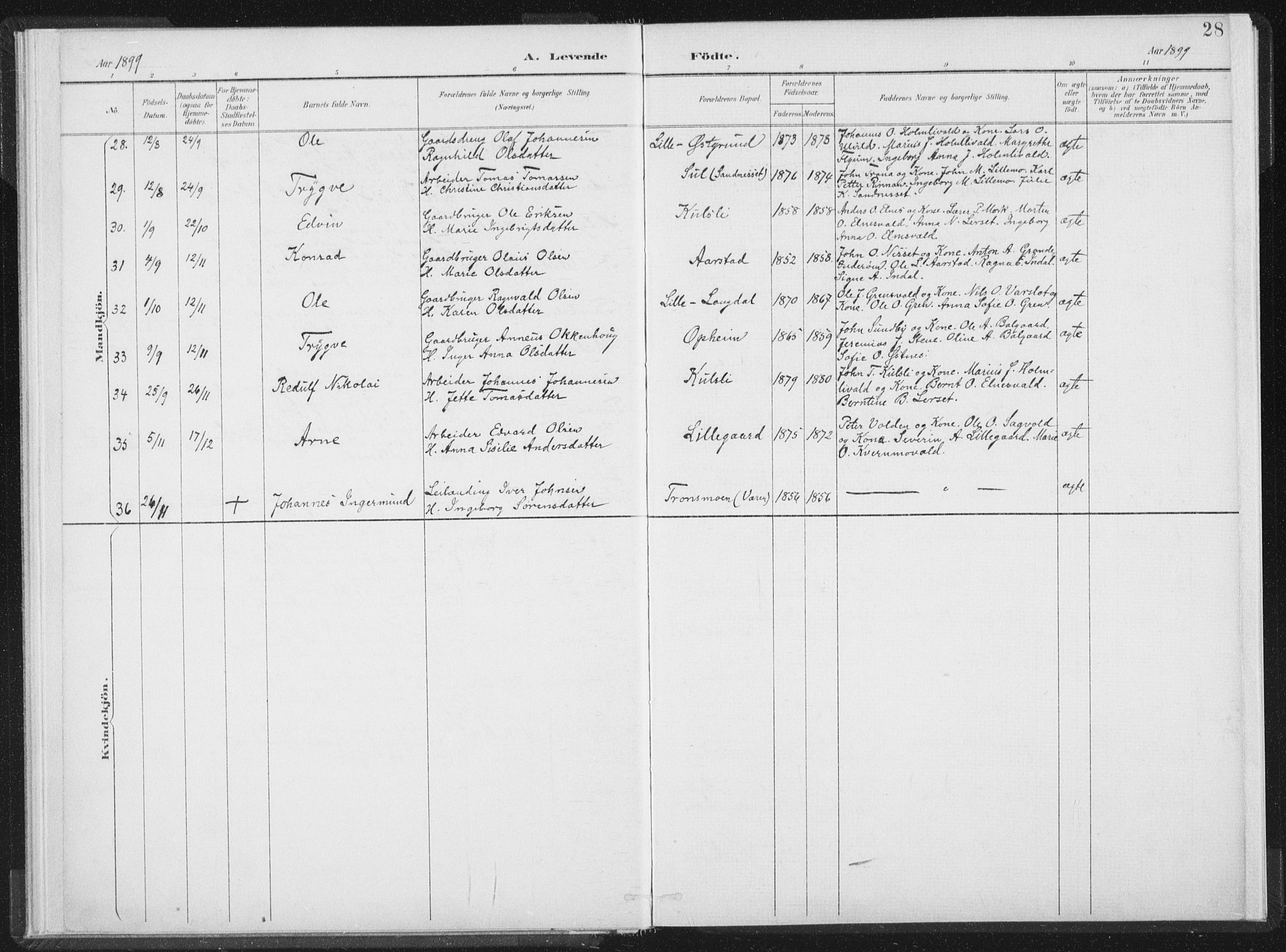 Ministerialprotokoller, klokkerbøker og fødselsregistre - Nord-Trøndelag, SAT/A-1458/724/L0263: Ministerialbok nr. 724A01, 1891-1907, s. 28