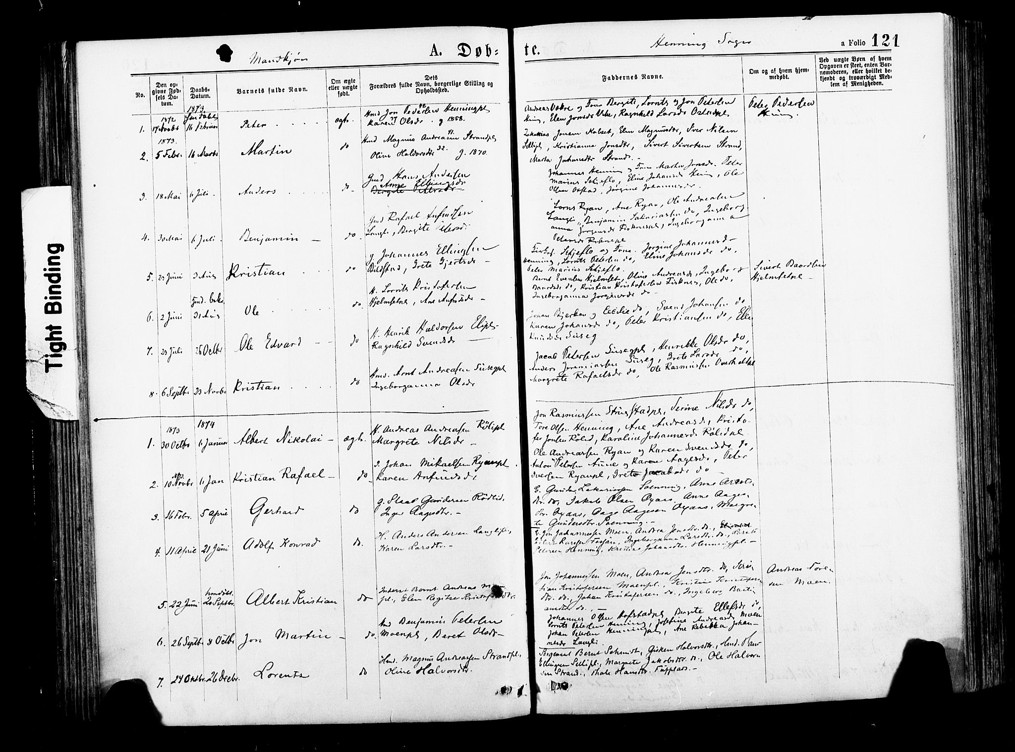 Ministerialprotokoller, klokkerbøker og fødselsregistre - Nord-Trøndelag, SAT/A-1458/735/L0348: Ministerialbok nr. 735A09 /3, 1873-1883, s. 121