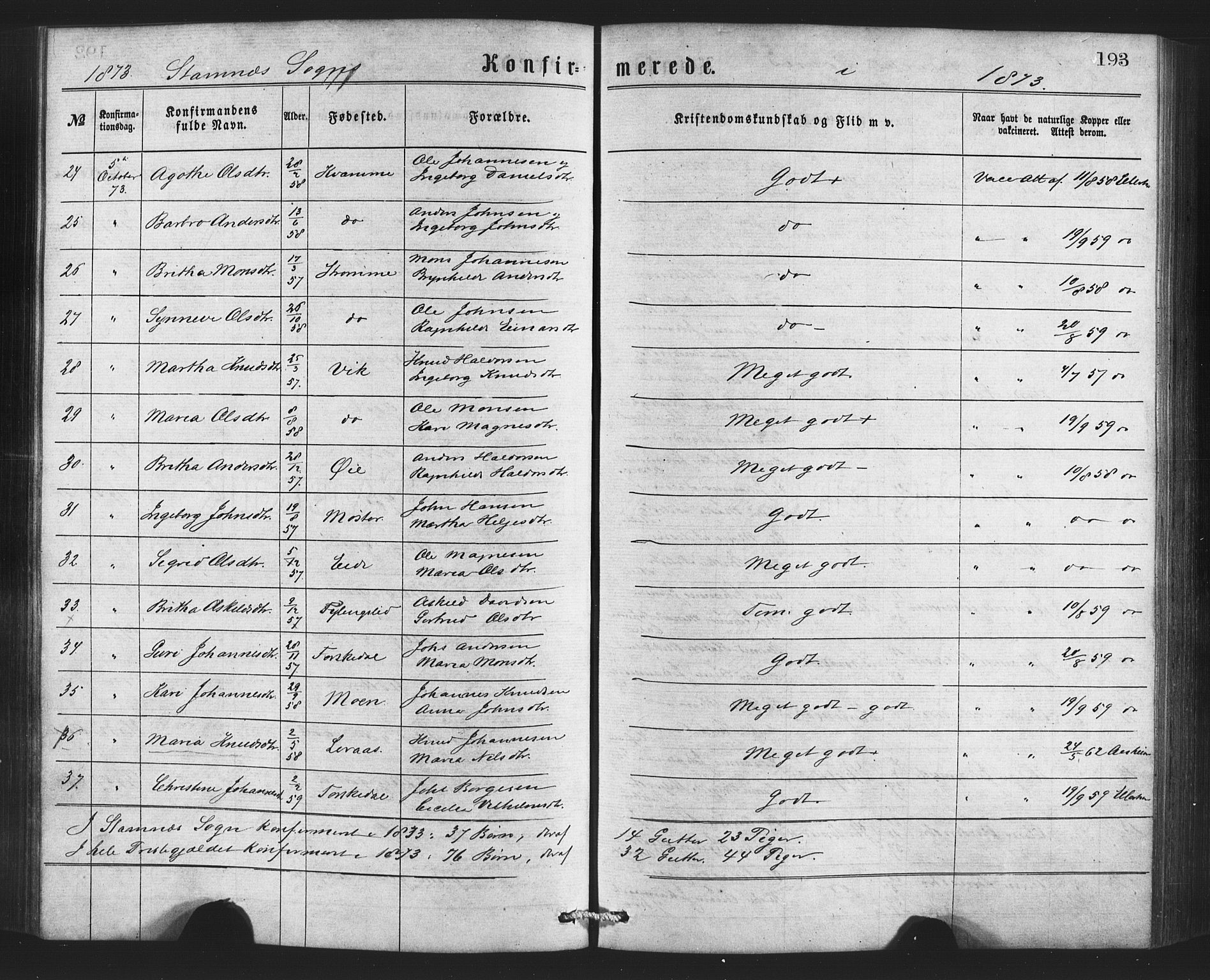 Bruvik Sokneprestembete, AV/SAB-A-74701/H/Haa: Ministerialbok nr. A 1, 1869-1877, s. 193
