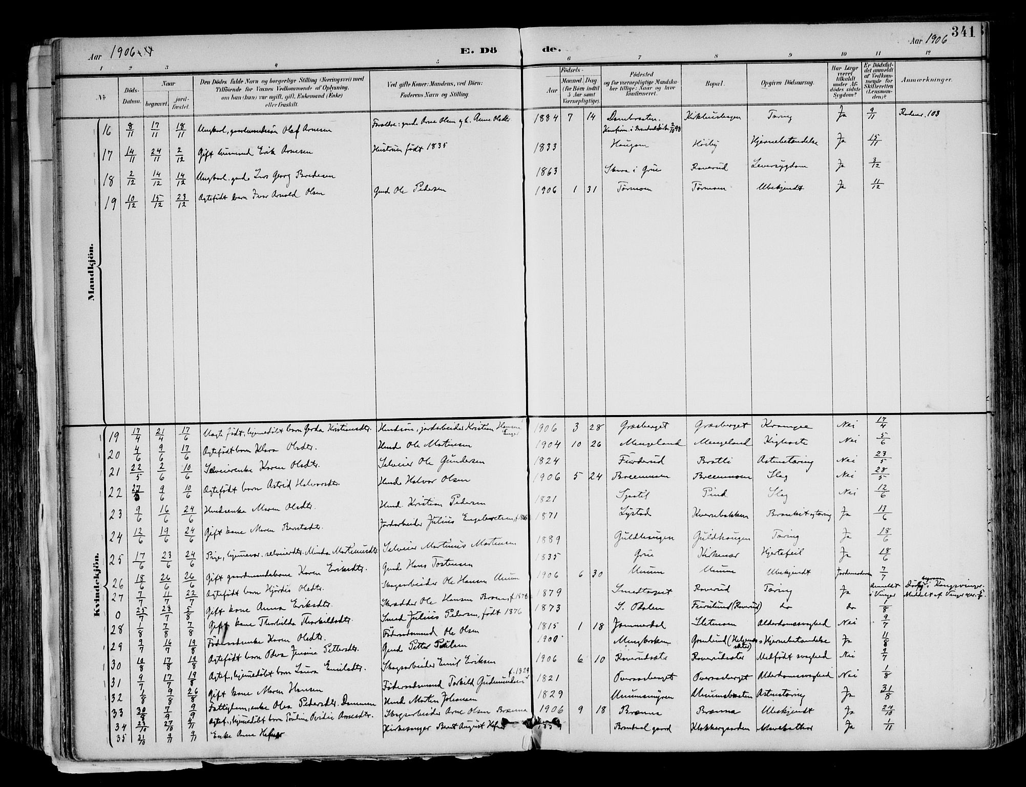 Brandval prestekontor, AV/SAH-PREST-034/H/Ha/Haa/L0003: Ministerialbok nr. 3, 1894-1909, s. 341