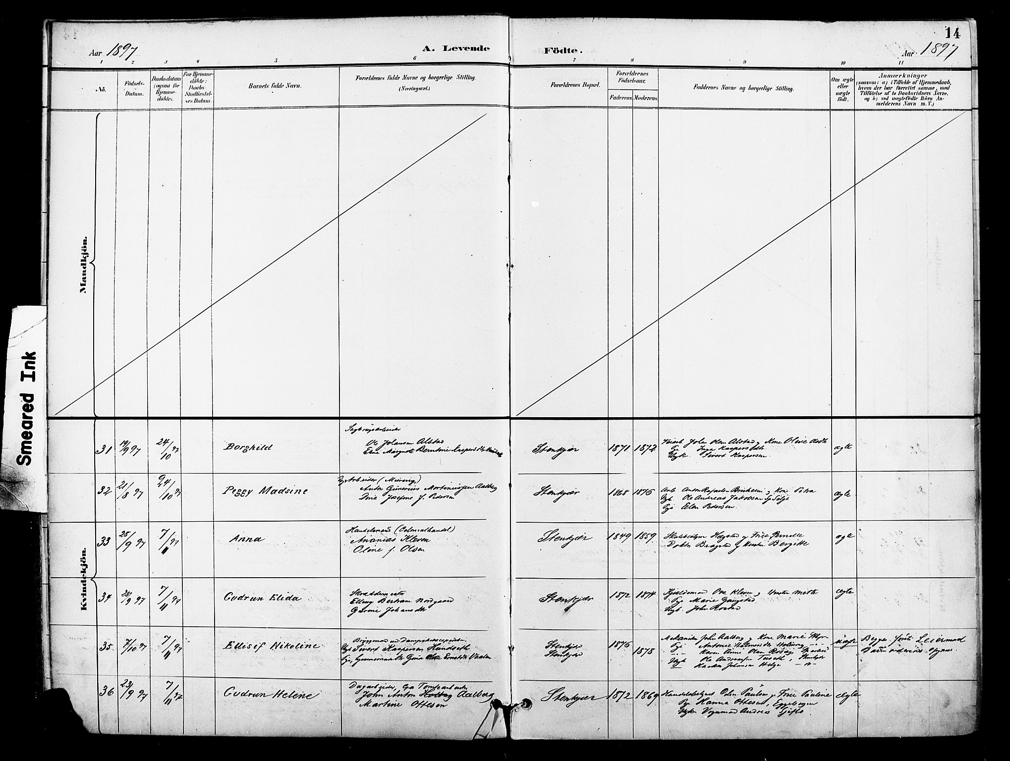 Ministerialprotokoller, klokkerbøker og fødselsregistre - Nord-Trøndelag, AV/SAT-A-1458/739/L0372: Ministerialbok nr. 739A04, 1895-1903, s. 14