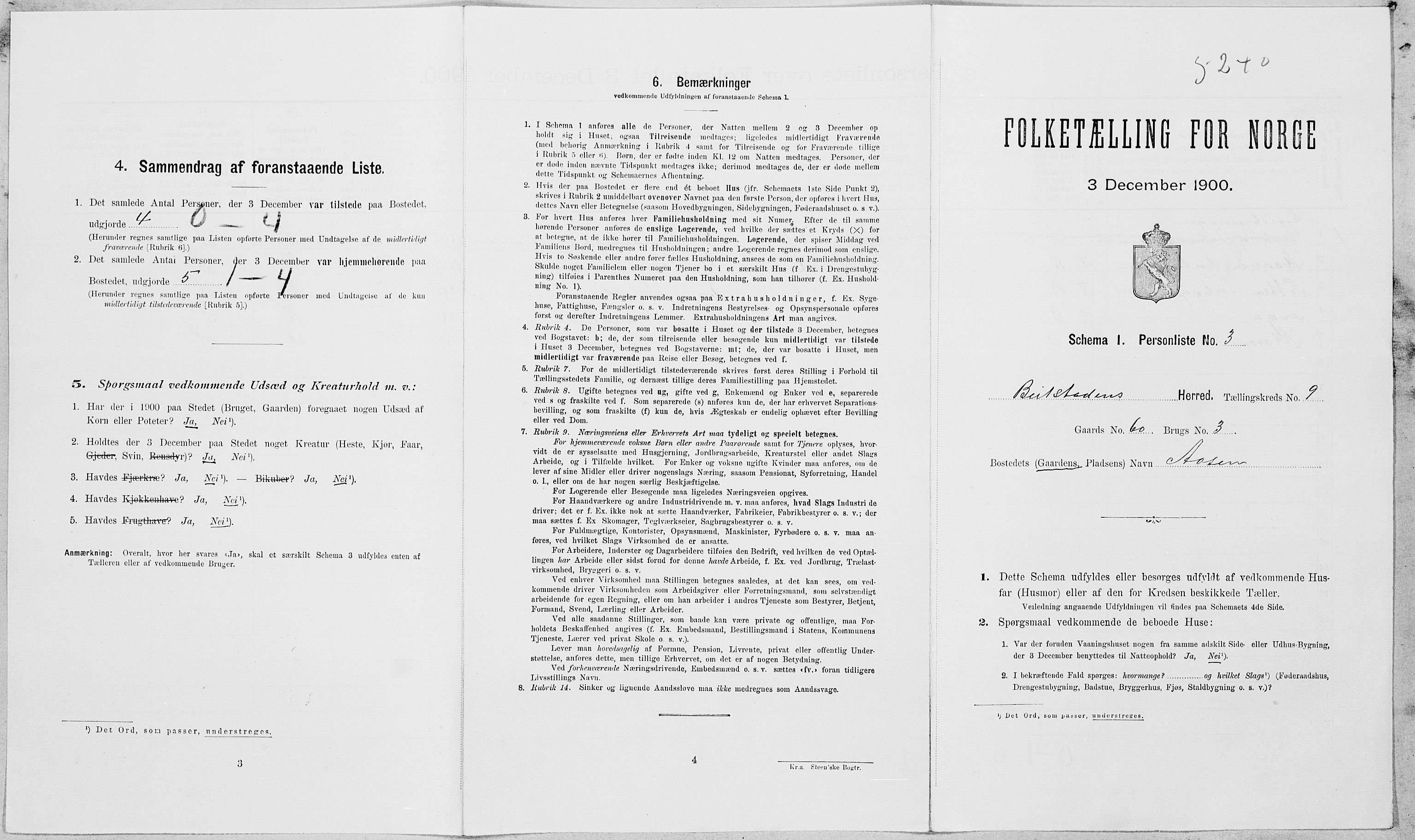 SAT, Folketelling 1900 for 1727 Beitstad herred, 1900, s. 699