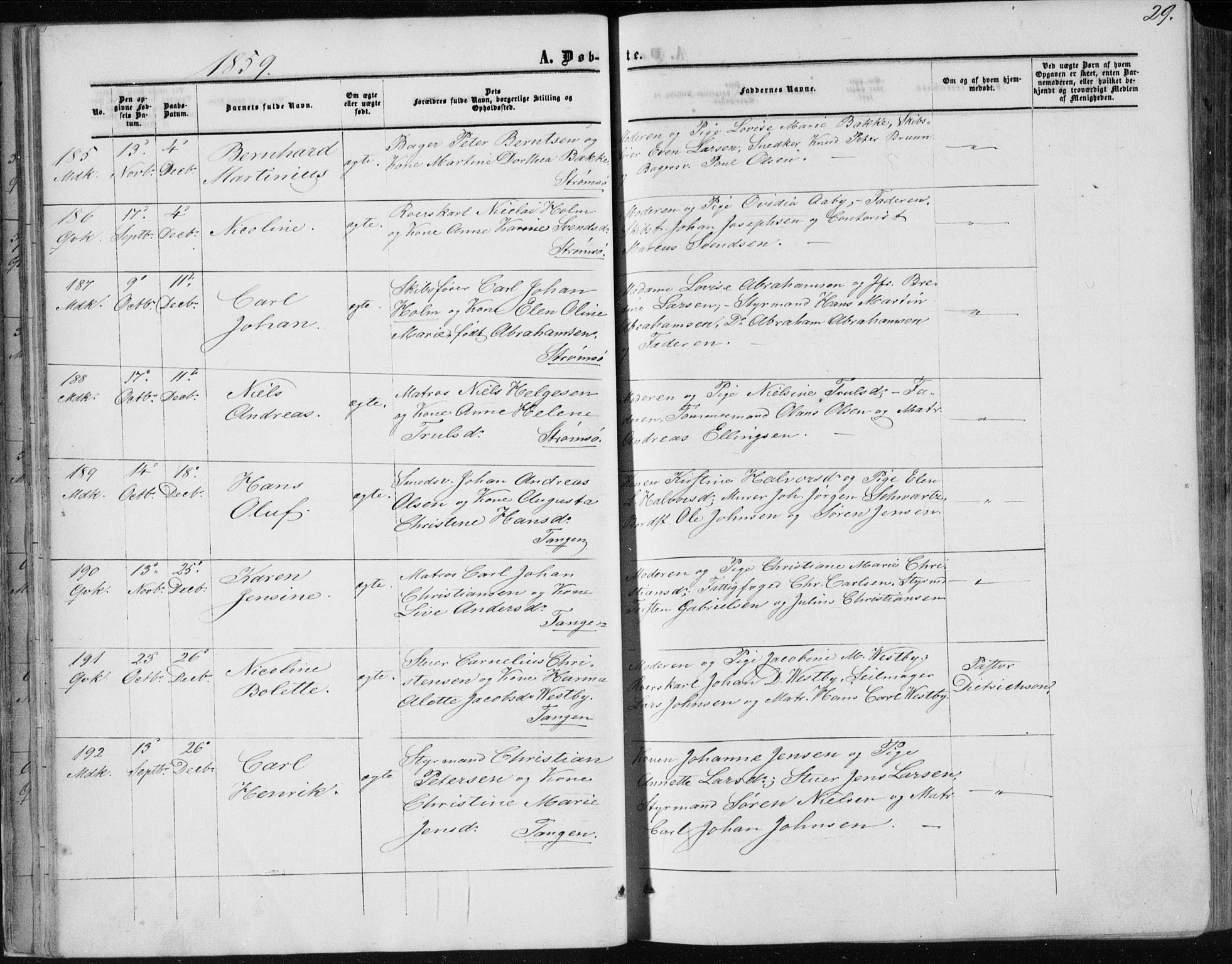 Strømsø kirkebøker, AV/SAKO-A-246/F/Fa/L0015: Ministerialbok nr. I 15, 1859-1868, s. 29