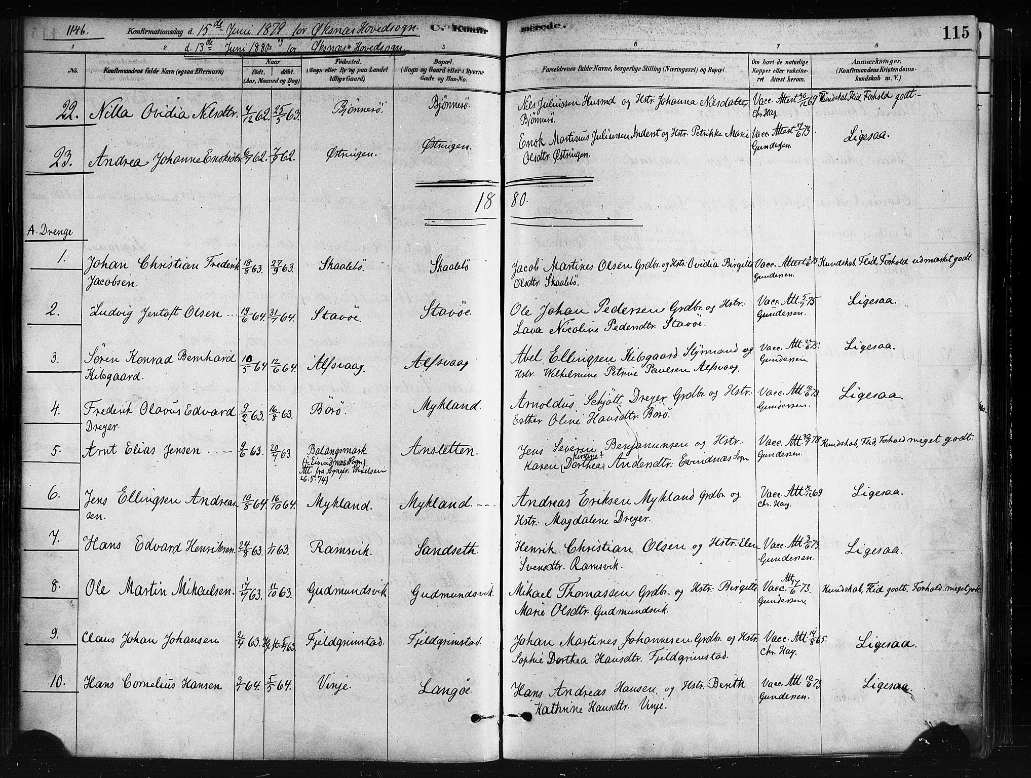 Ministerialprotokoller, klokkerbøker og fødselsregistre - Nordland, SAT/A-1459/893/L1335: Ministerialbok nr. 893A08 /1, 1878-1884, s. 115