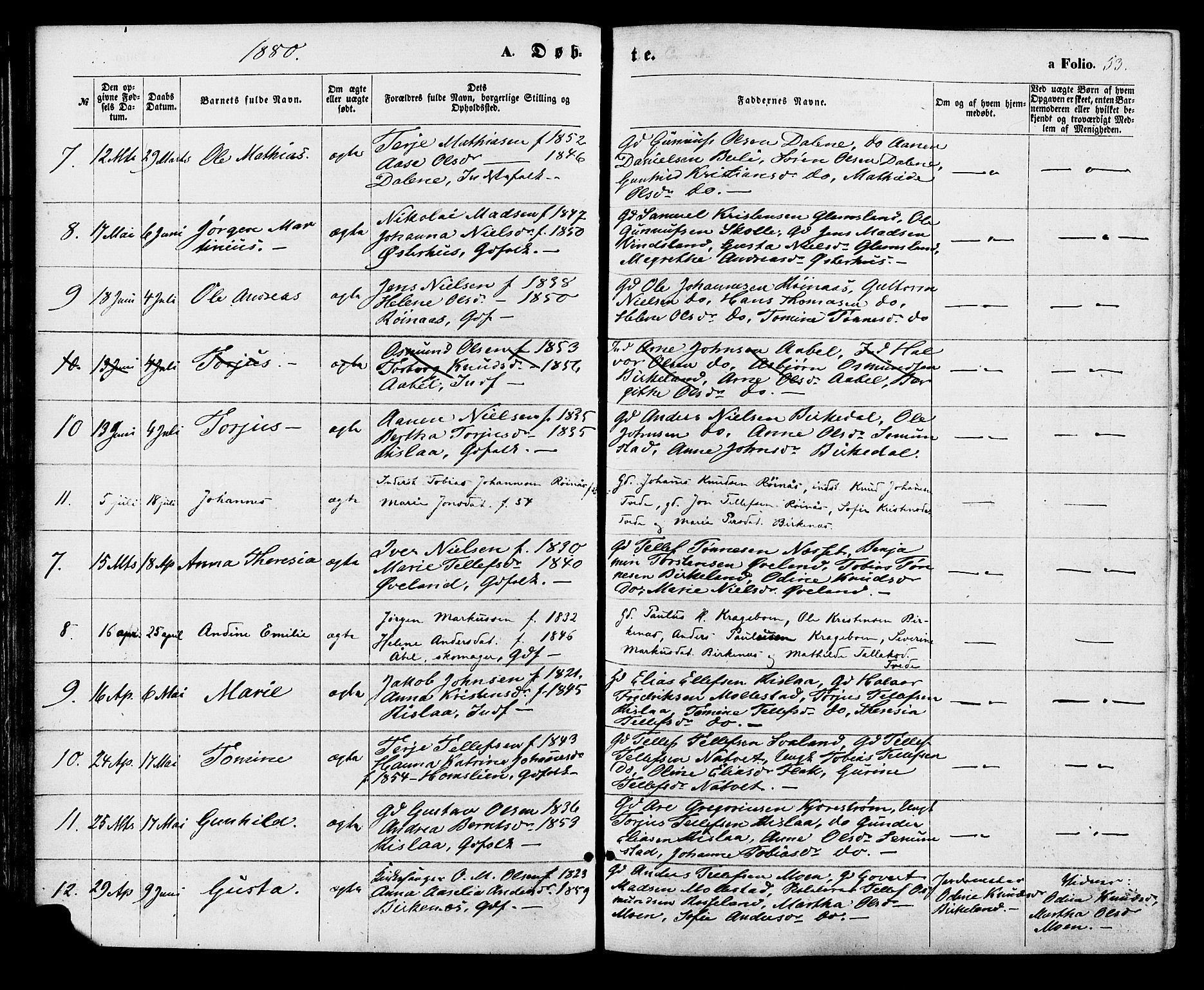 Birkenes sokneprestkontor, AV/SAK-1111-0004/F/Fa/L0004: Ministerialbok nr. A 4, 1867-1886, s. 53