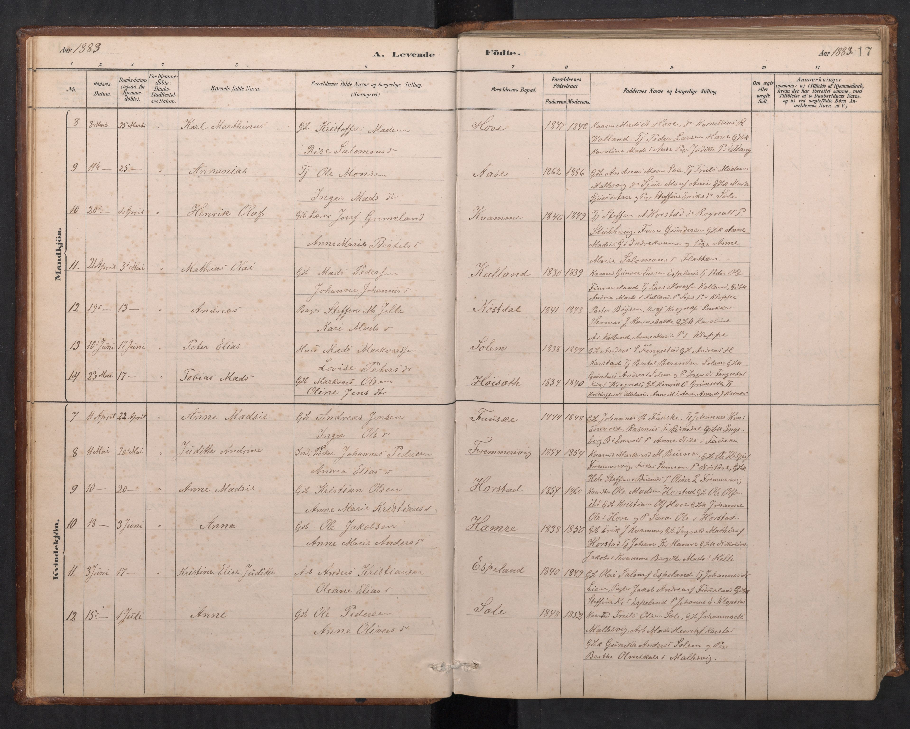 Førde sokneprestembete, AV/SAB-A-79901/H/Hab/Habd/L0003: Klokkerbok nr. D 3, 1881-1897, s. 16b-17a