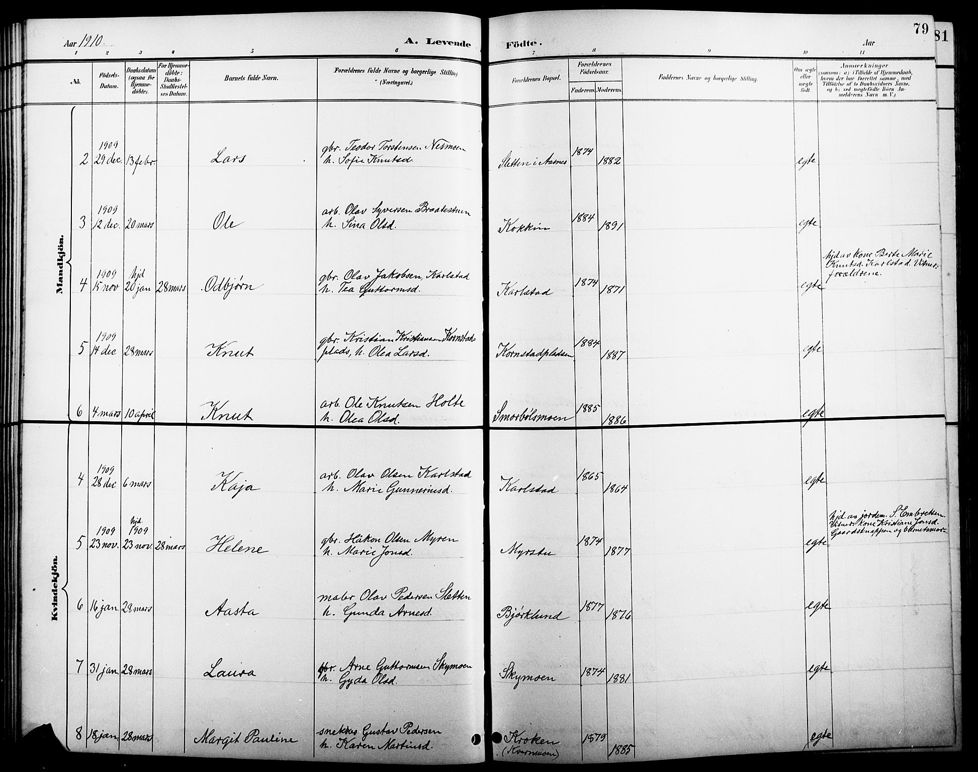 Åsnes prestekontor, AV/SAH-PREST-042/H/Ha/Hab/L0005: Klokkerbok nr. 5, 1895-1920, s. 79