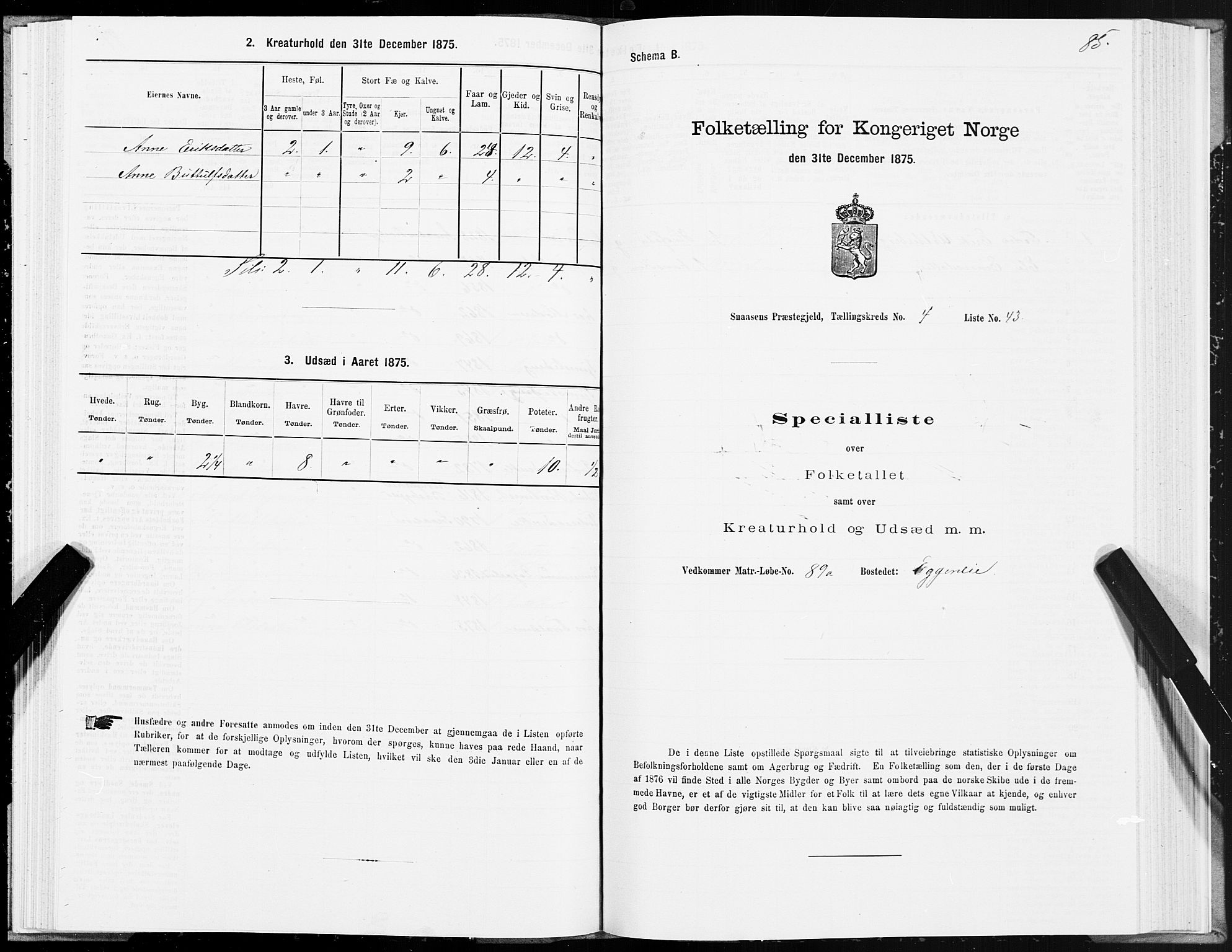 SAT, Folketelling 1875 for 1736P Snåsa prestegjeld, 1875, s. 2085