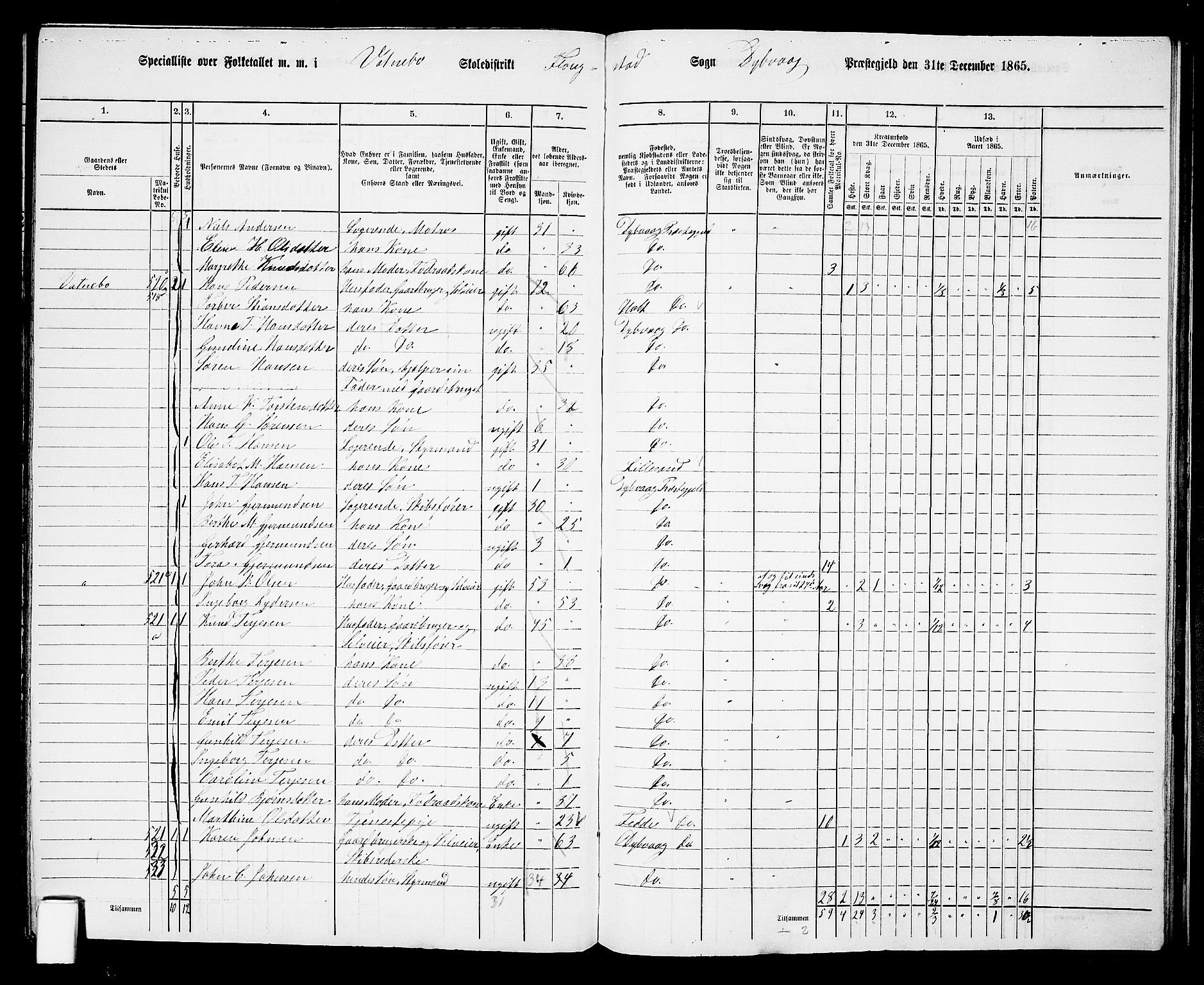 RA, Folketelling 1865 for 0915P Dypvåg prestegjeld, 1865, s. 149